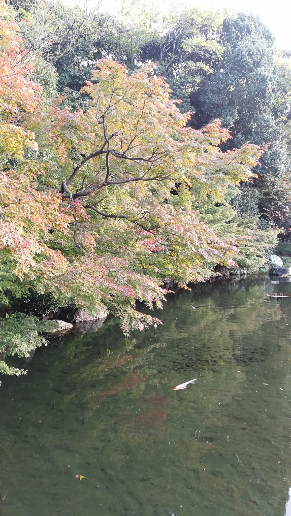 名古屋自助遊攻略