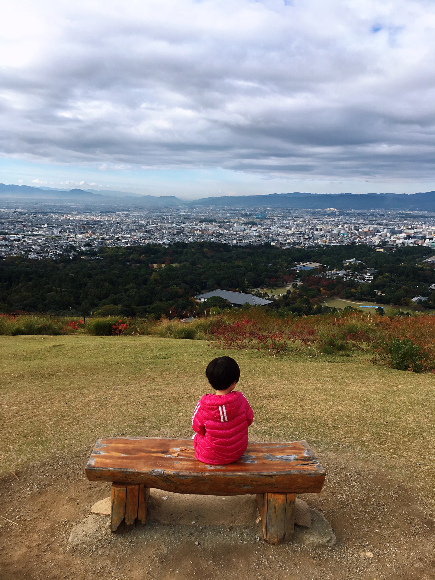 京都自助遊攻略