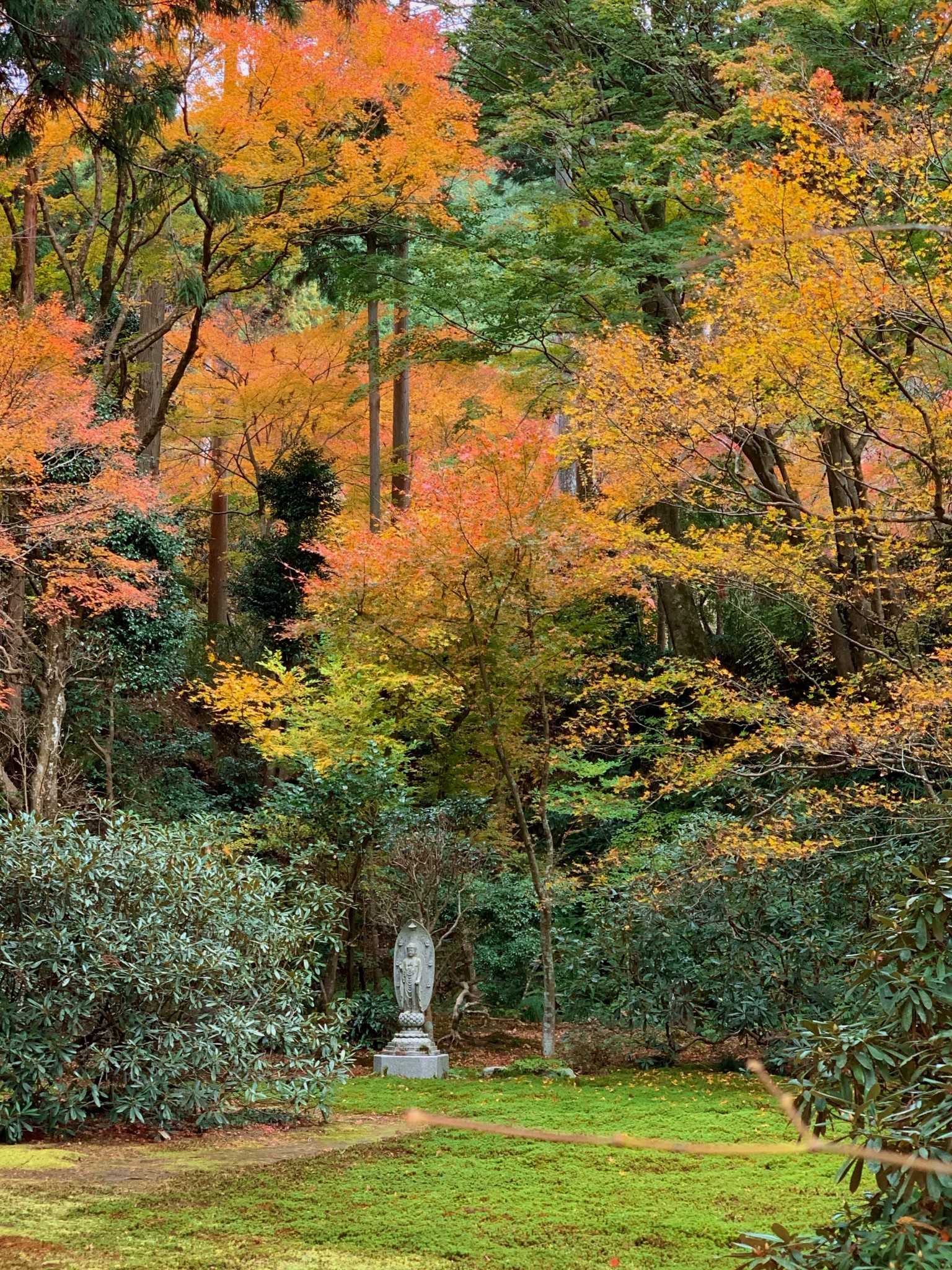 京都自助遊攻略