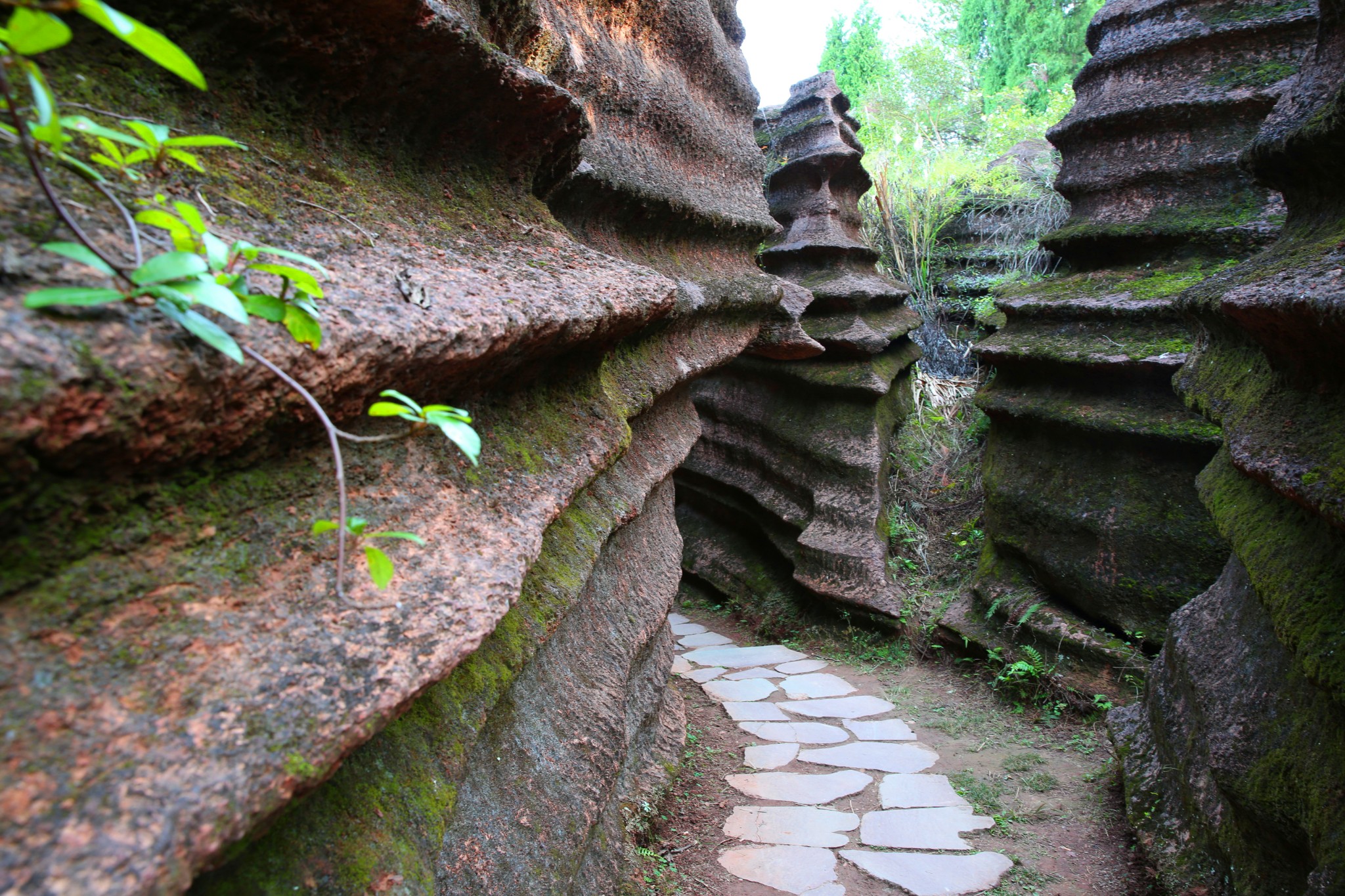 滄海桑田紅石林,千年古鎮芙蓉鎮圖片124,芙蓉鎮旅遊景點,風景名勝