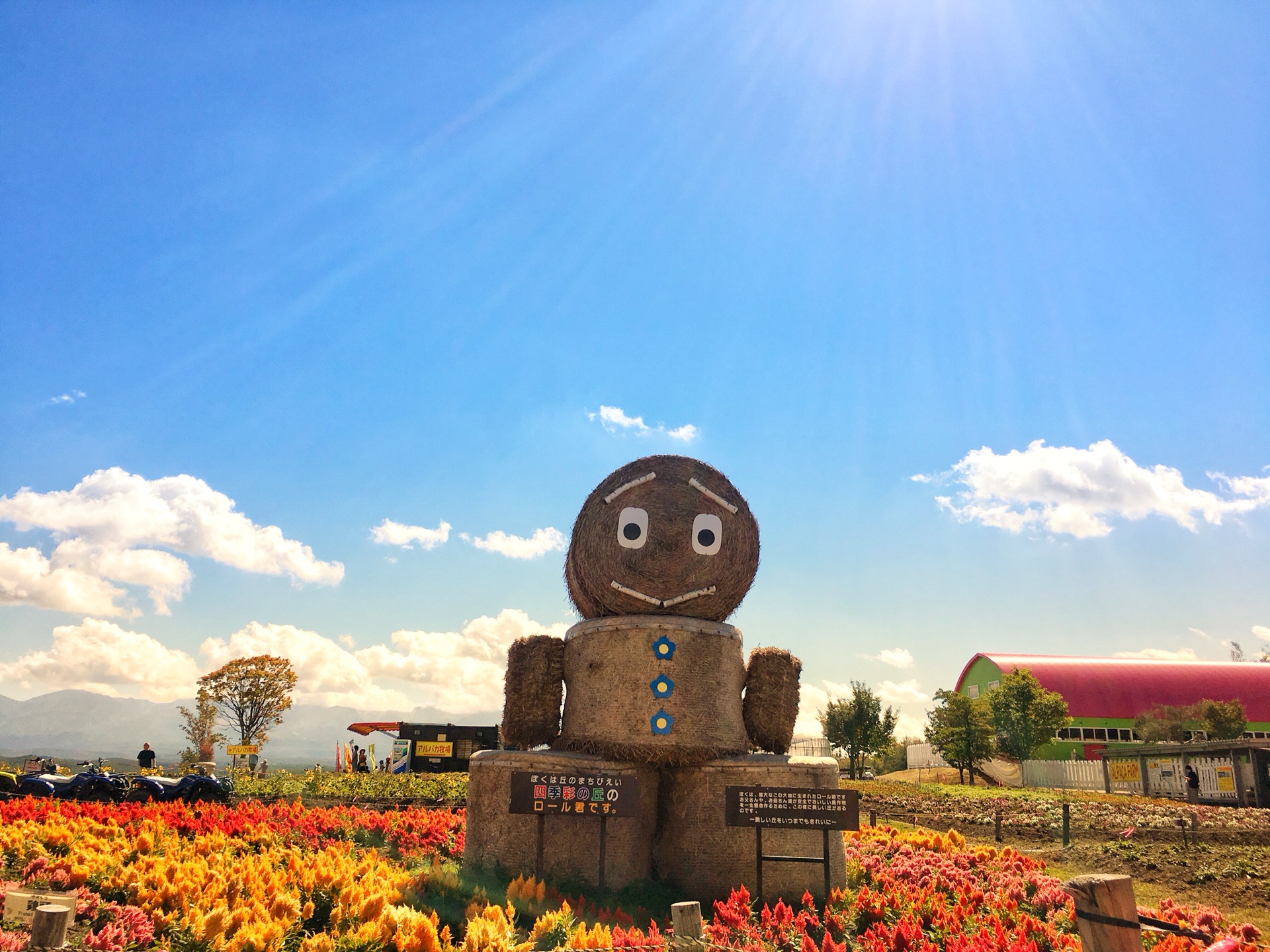 北海道自助遊攻略