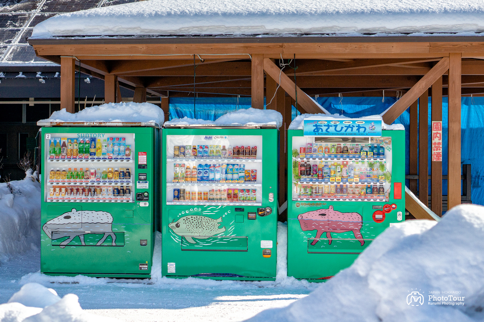 北海道自助遊攻略