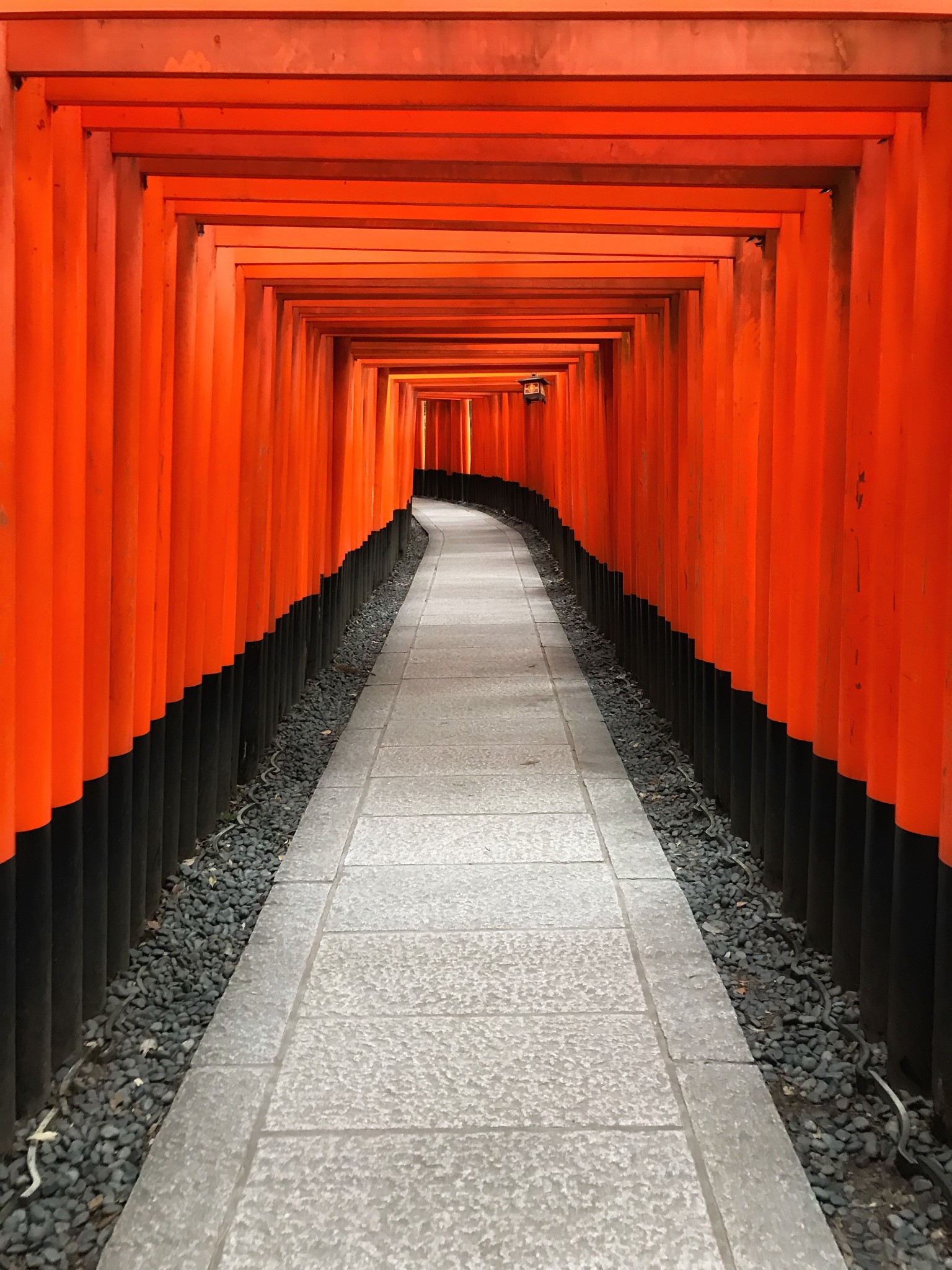 京都自助遊攻略