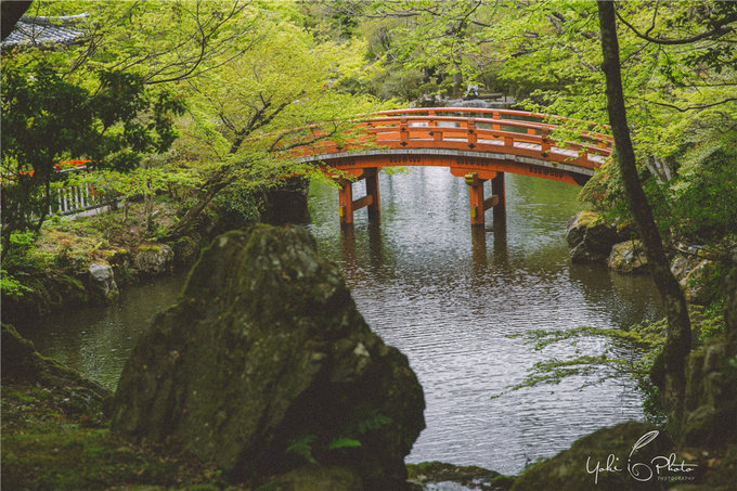 京都自助遊攻略