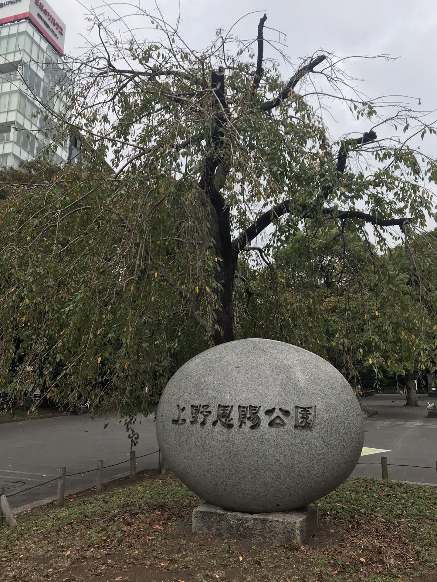 東京自助遊攻略