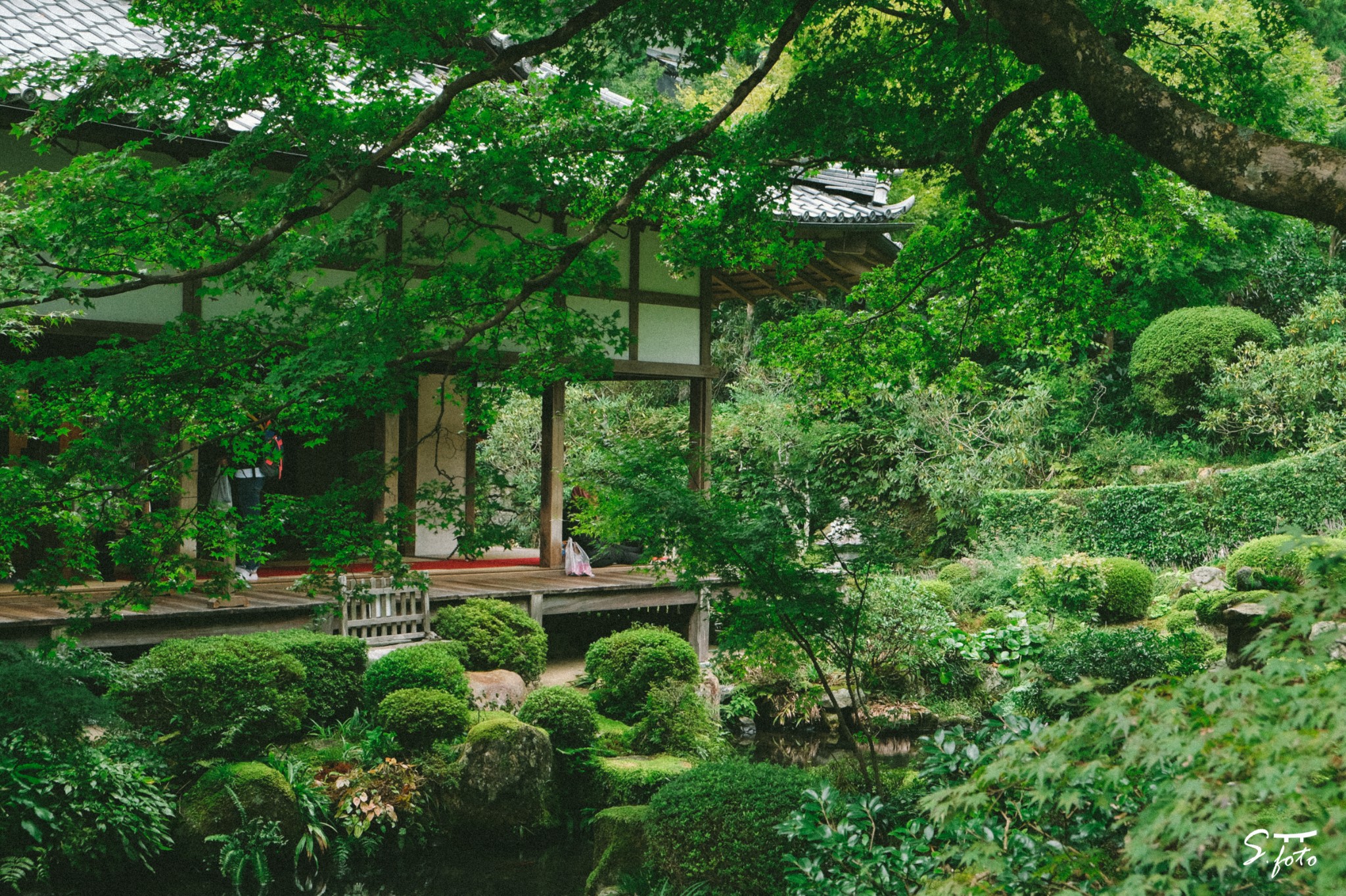 京都自助遊攻略