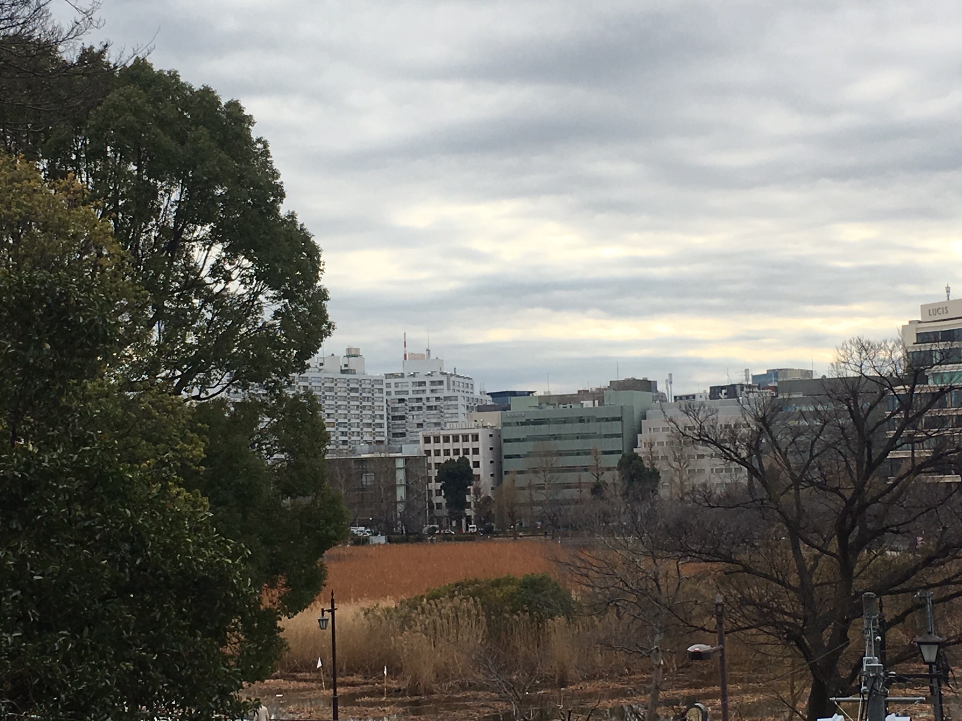 東京自助遊攻略