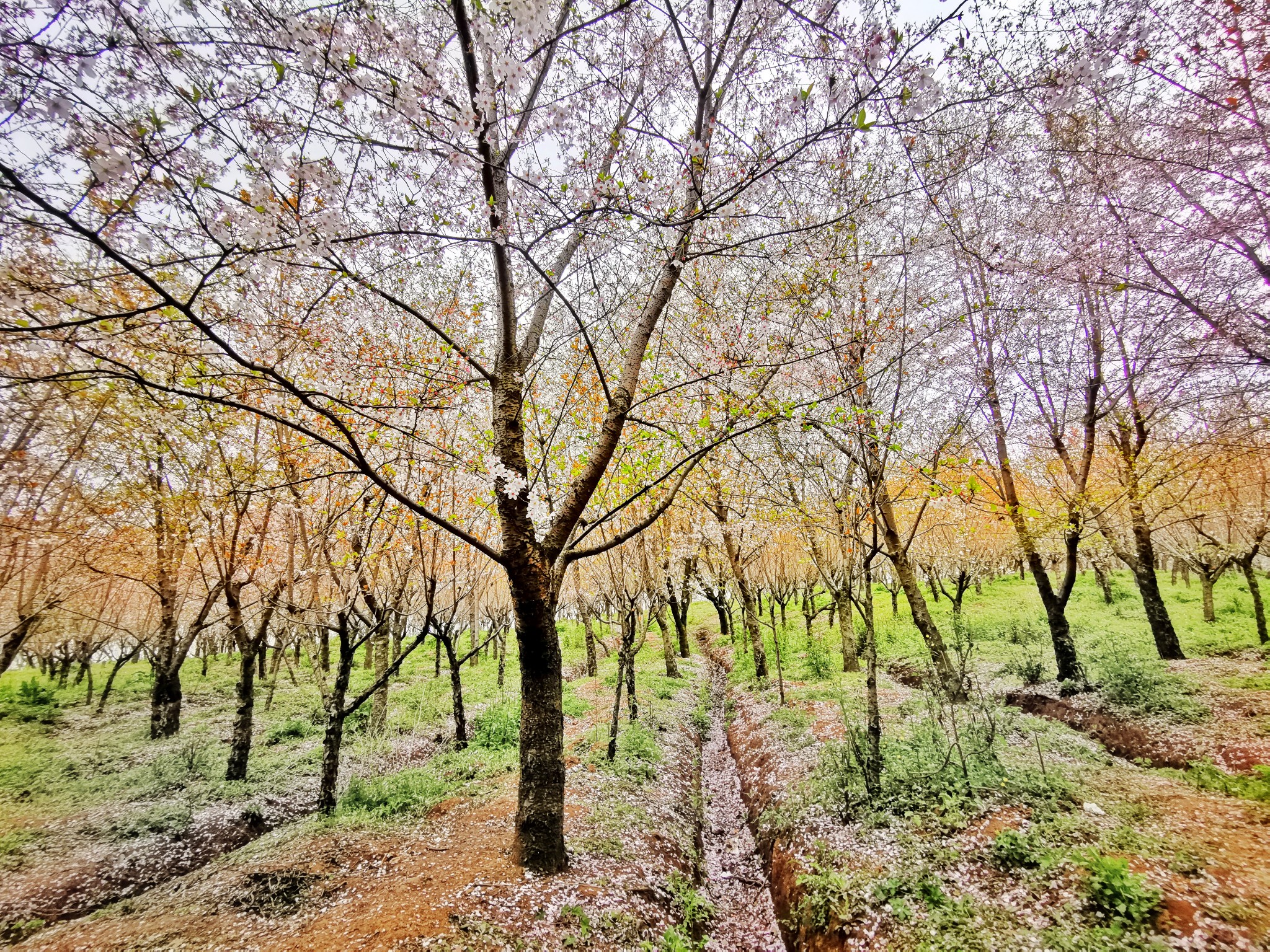 wKgEaVyeQ-aAG-B1AB1UpTnRNb891.jpeg?imageView2%2F2%2Fw%2F680%2Fq%2F90%7CimageMogr2%2Fstrip%2Fquality%2F90