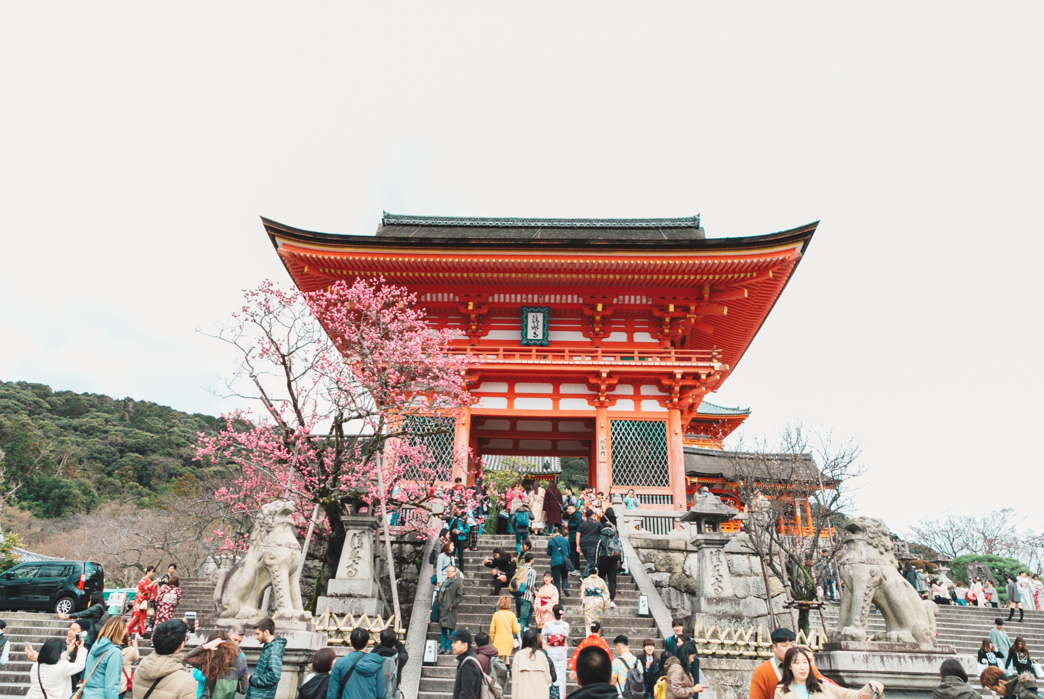 京都自助遊攻略