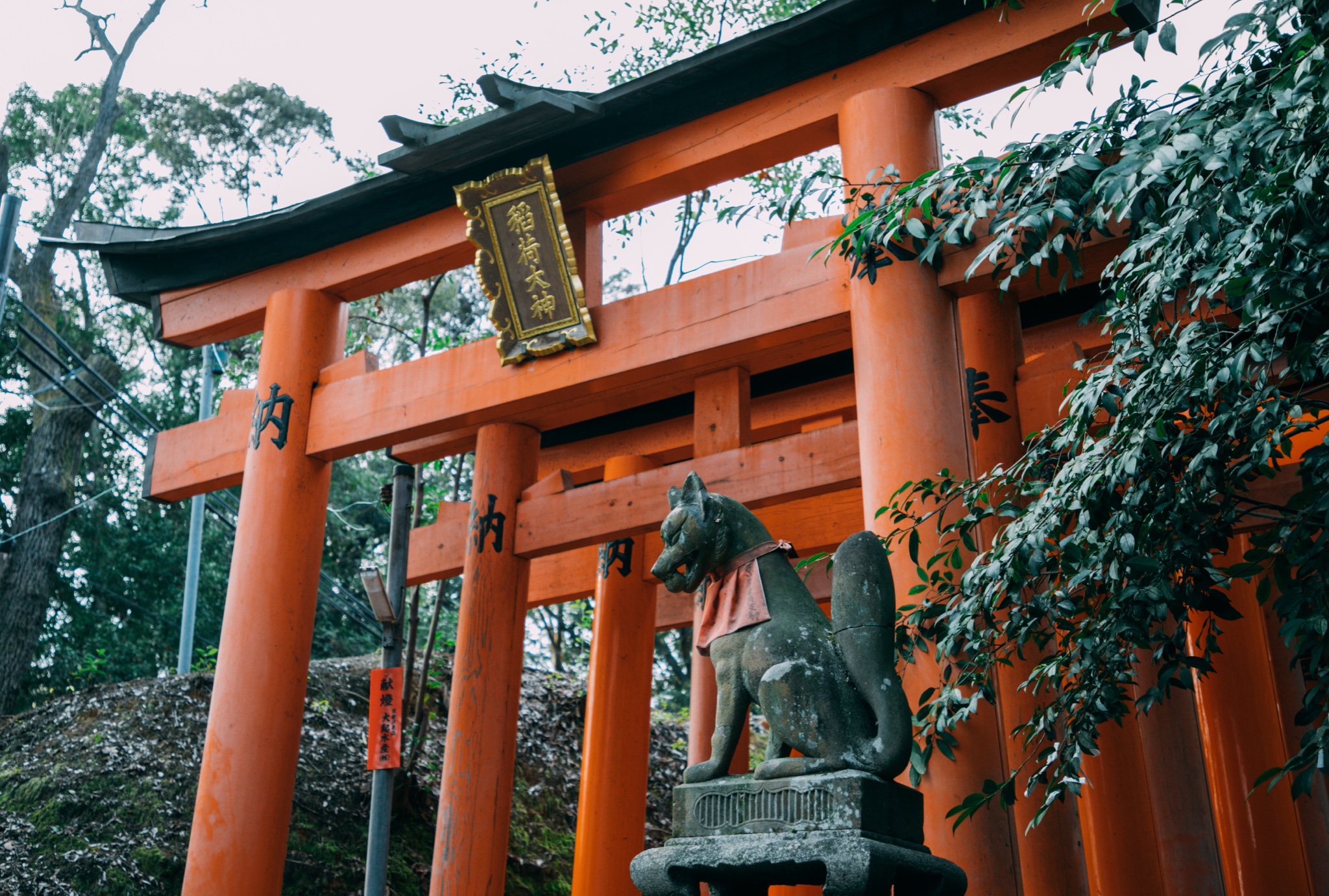 京都自助遊攻略