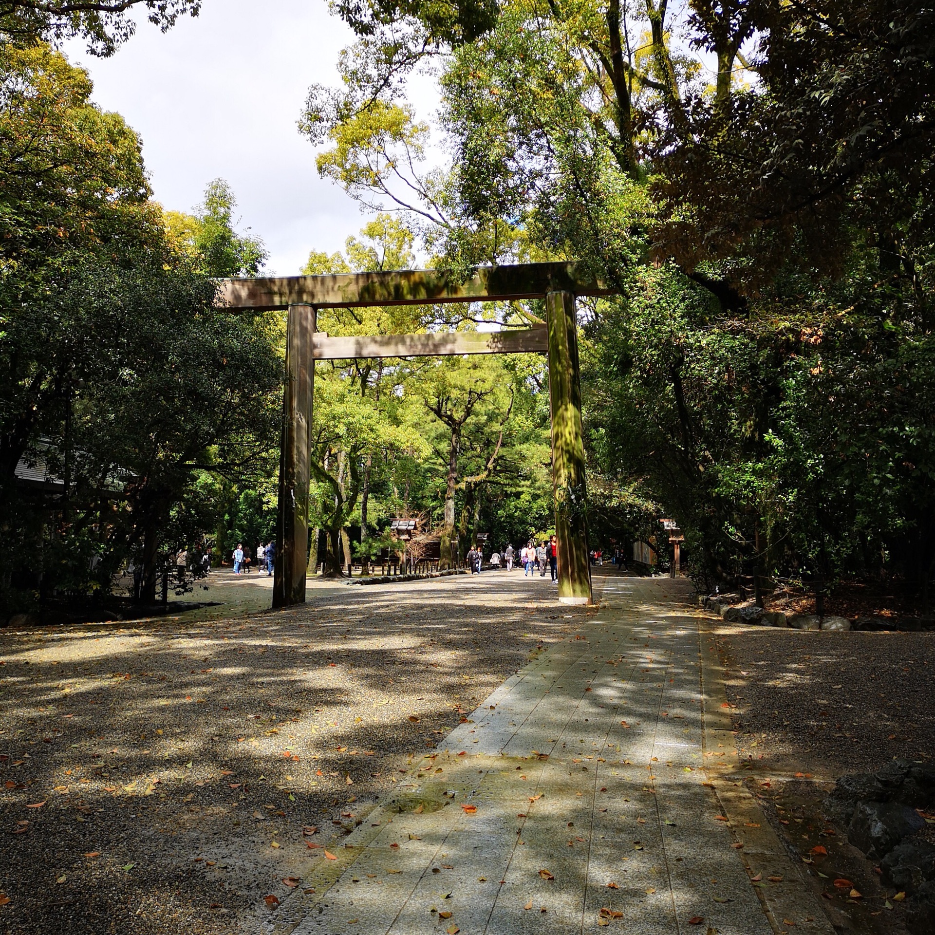 東京自助遊攻略