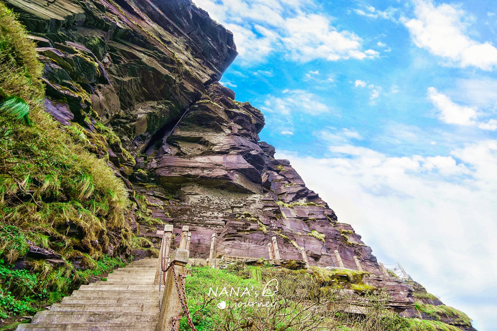 梵净之巅,当花儿盛开之时