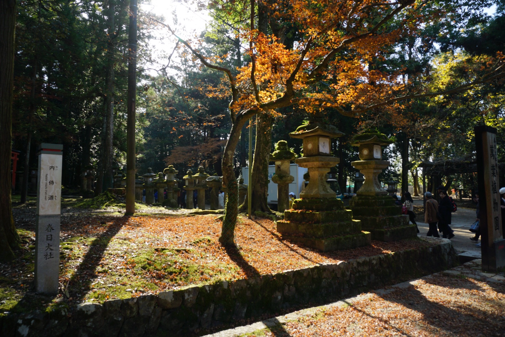 京都自助遊攻略