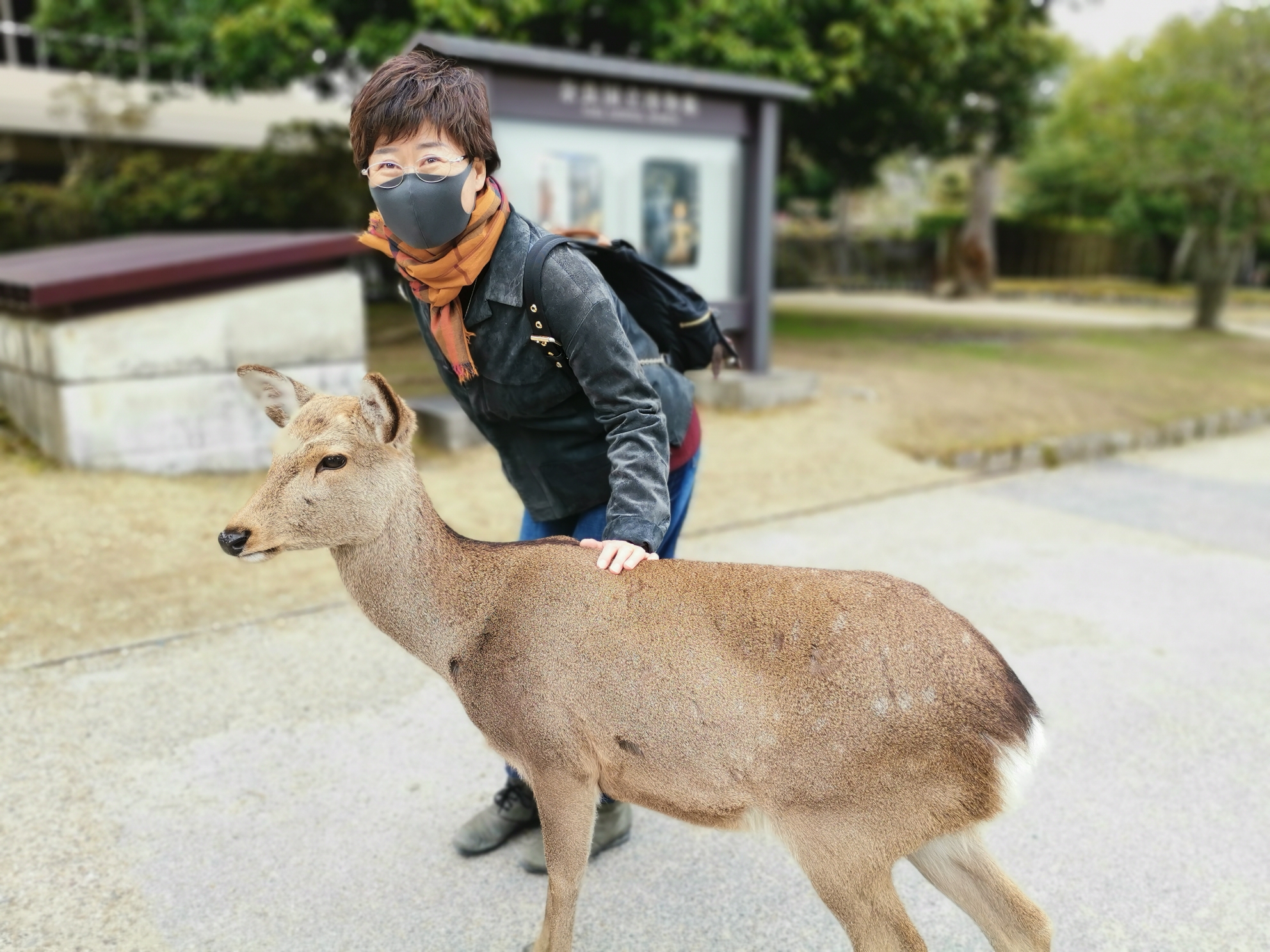 京都自助遊攻略