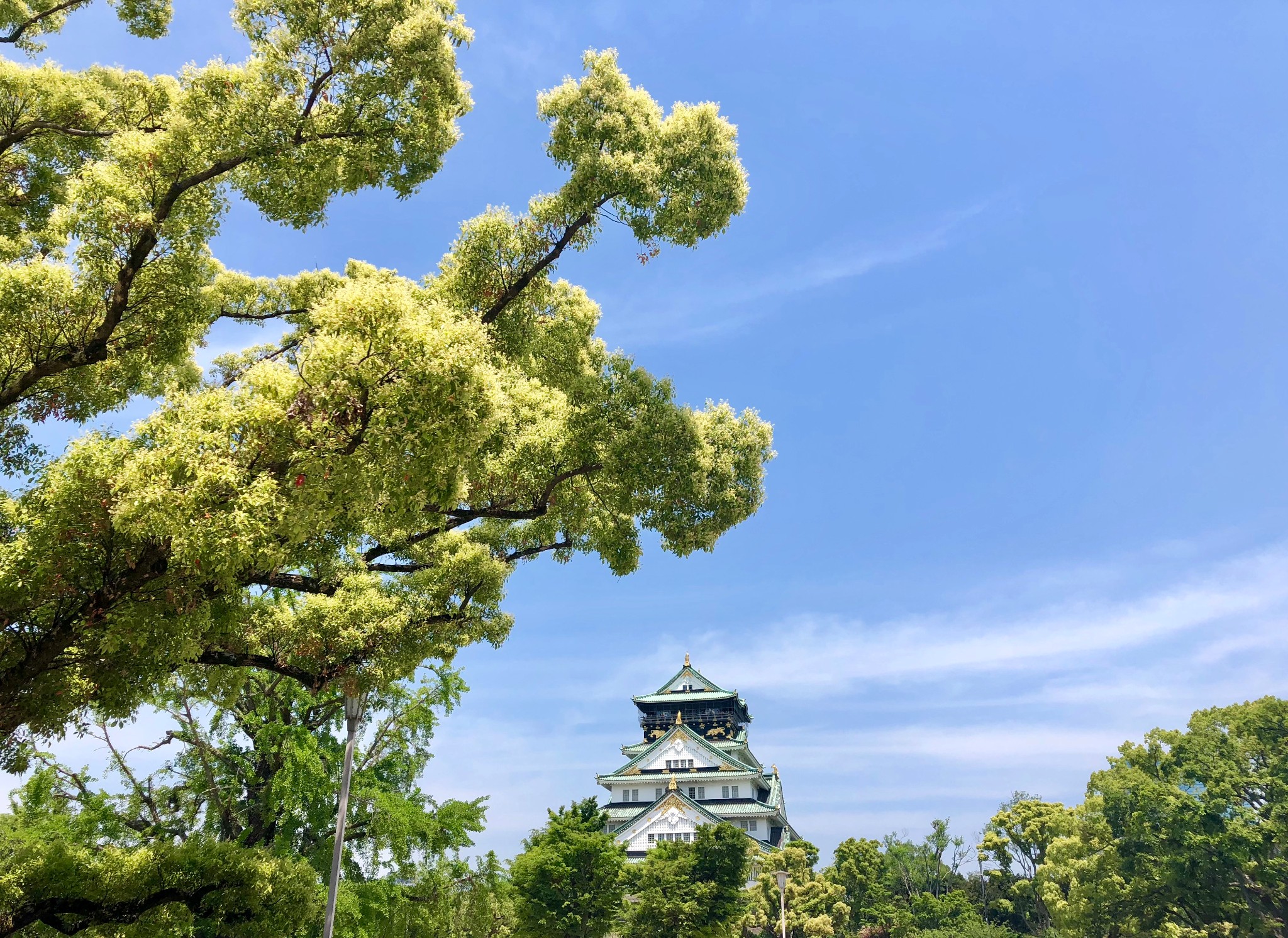 京都自助遊攻略