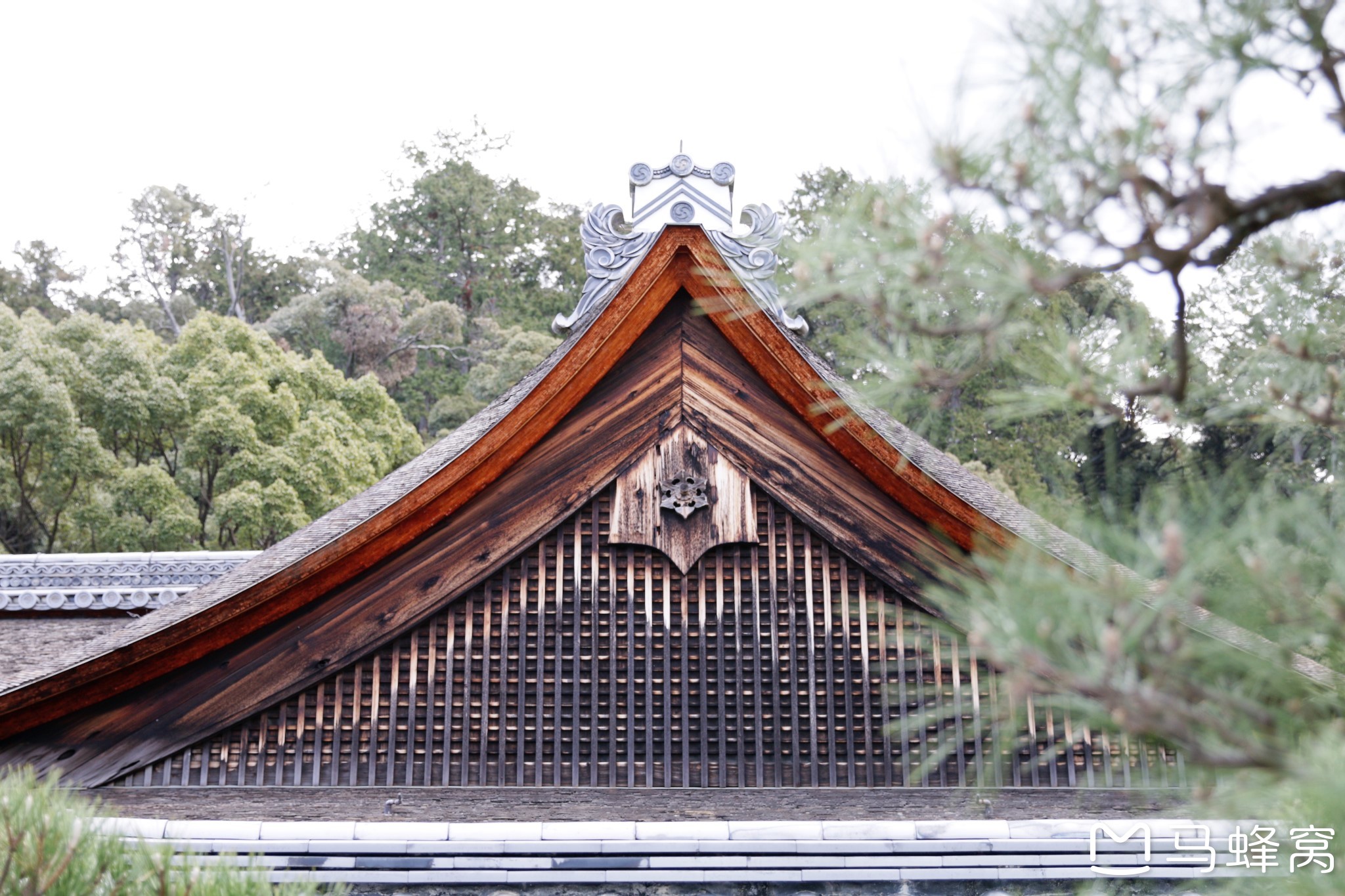 京都自助遊攻略