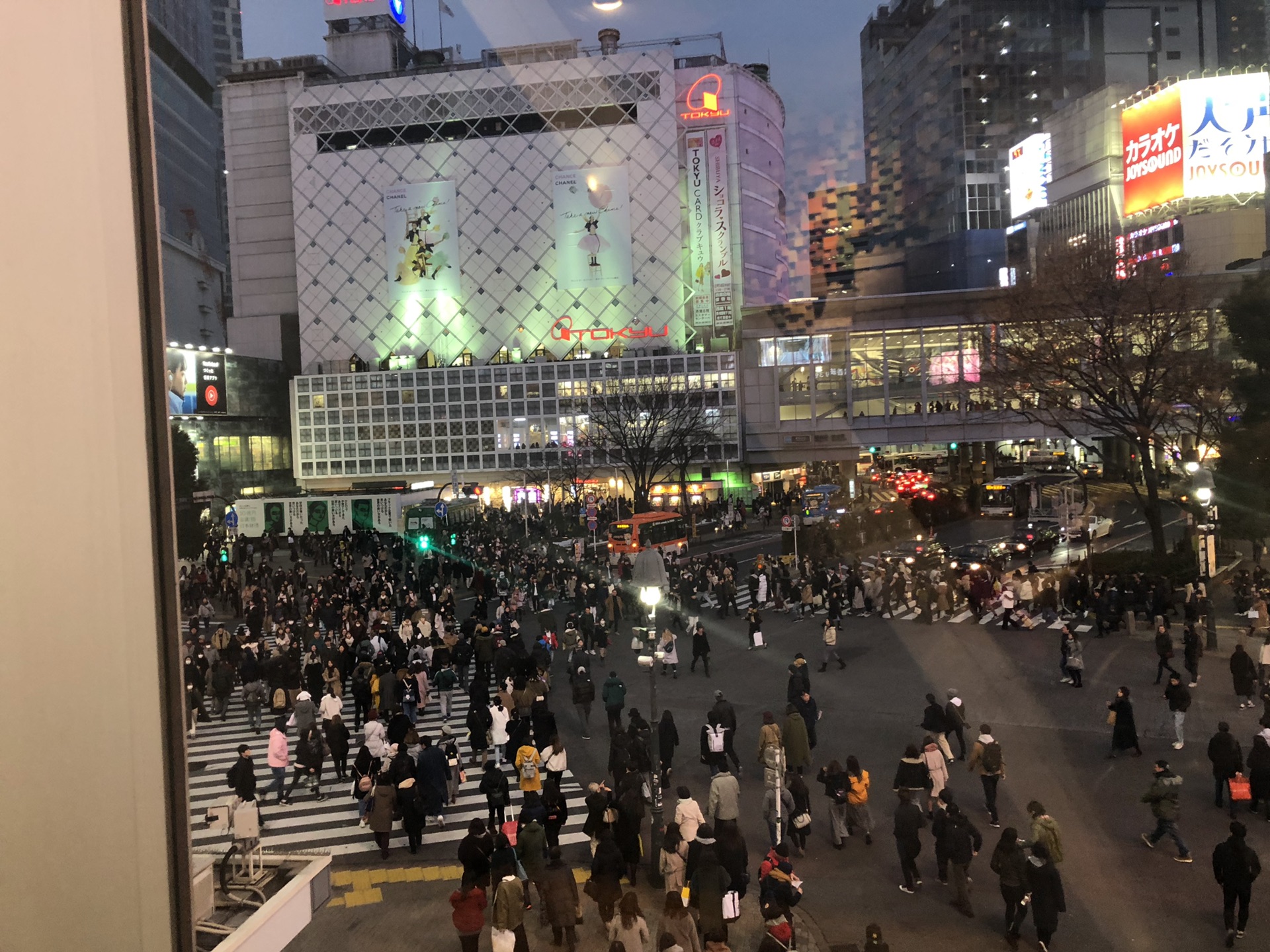 東京自助遊攻略