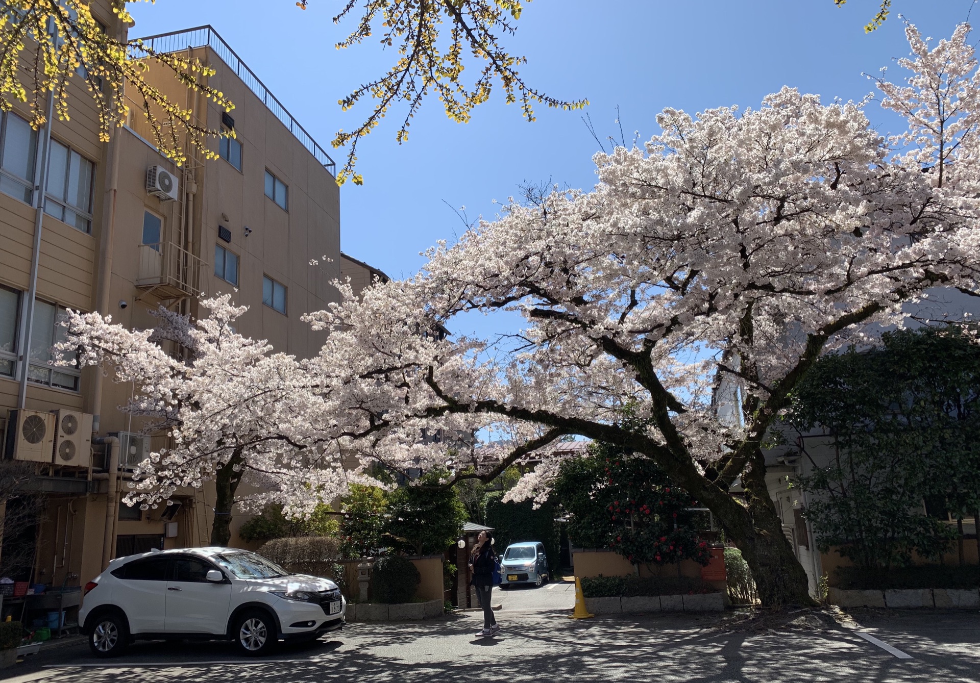 名古屋自助遊攻略