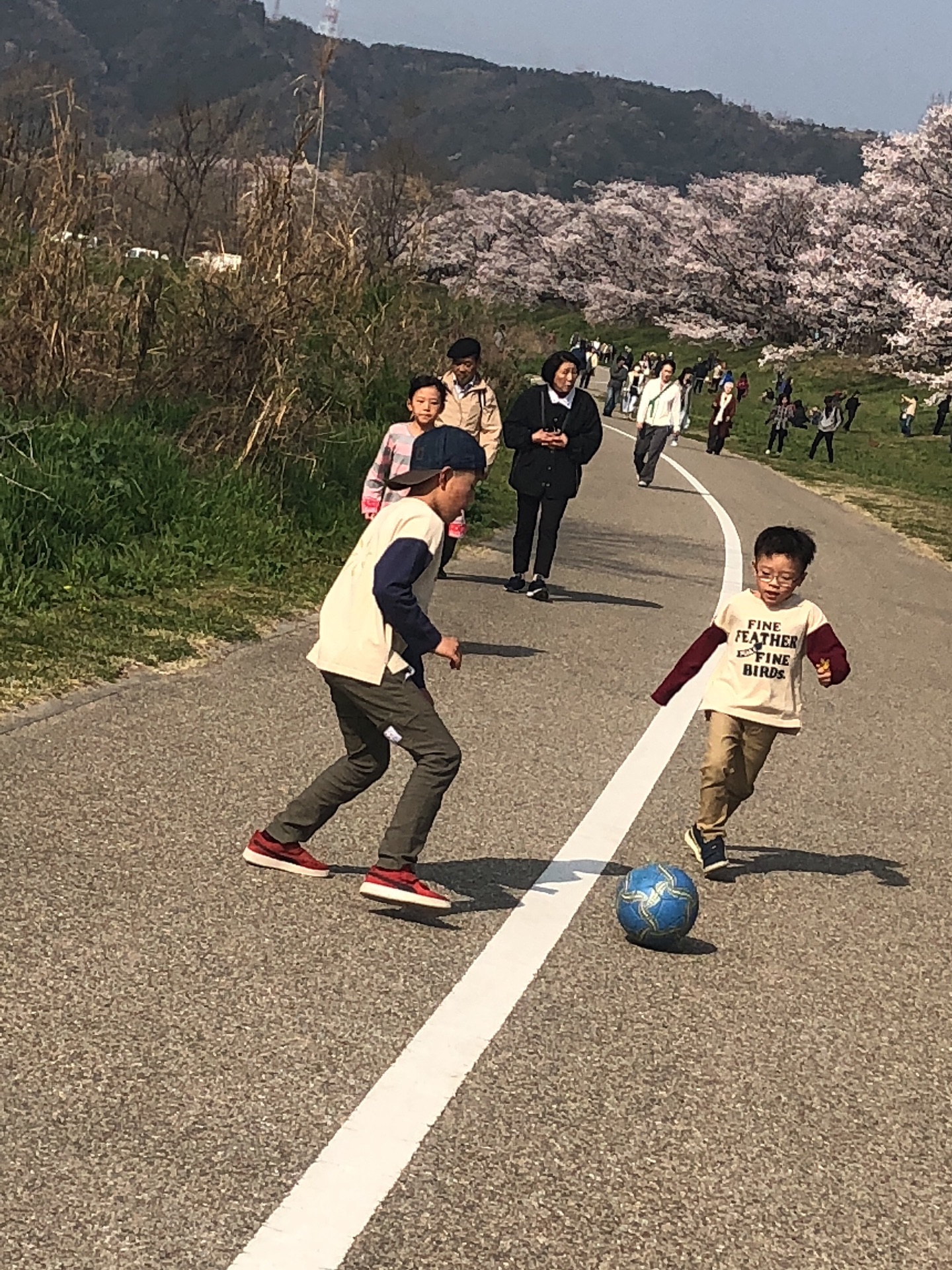 京都自助遊攻略