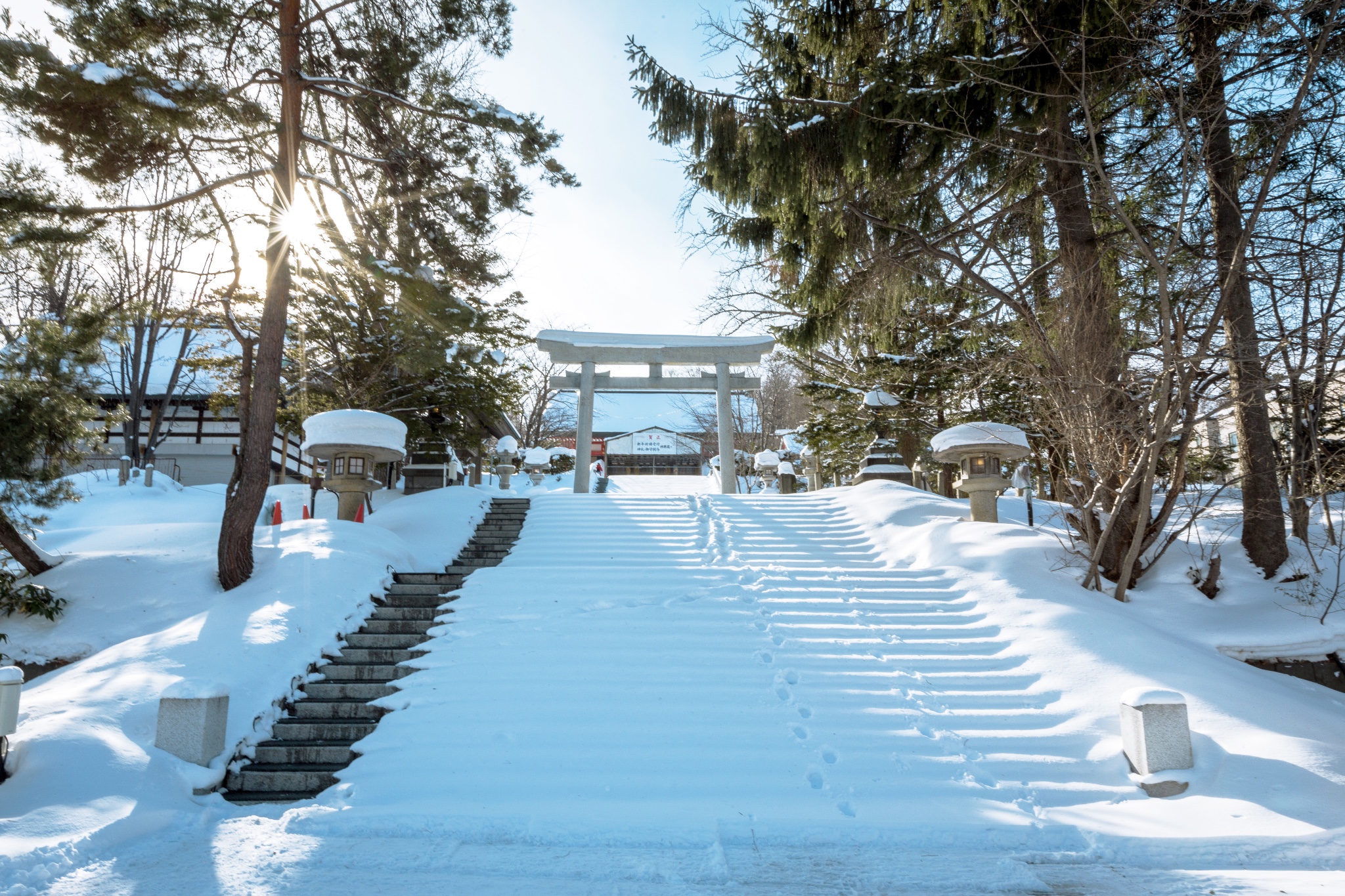 北海道自助遊攻略