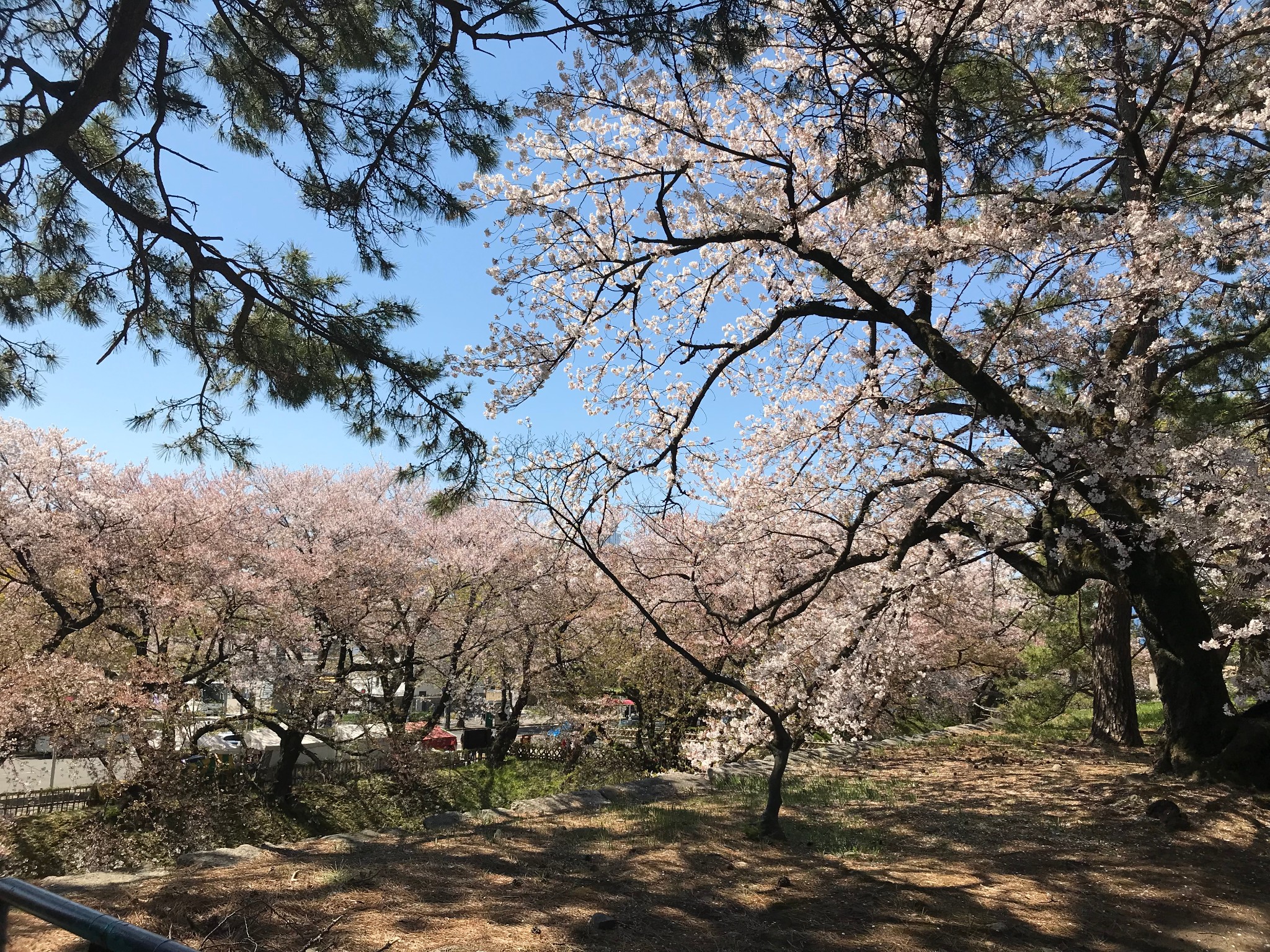 名古屋自助遊攻略