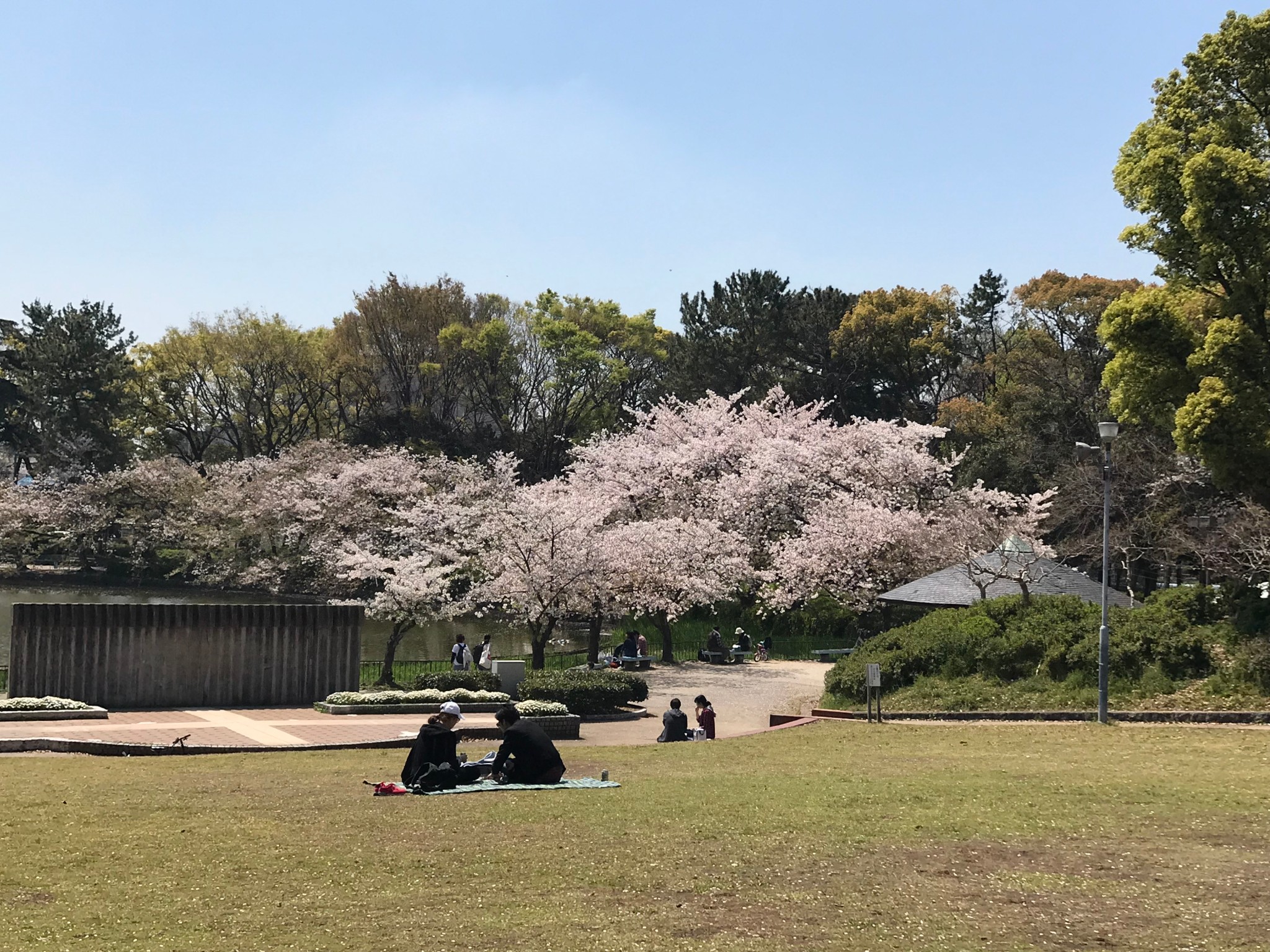 名古屋自助遊攻略