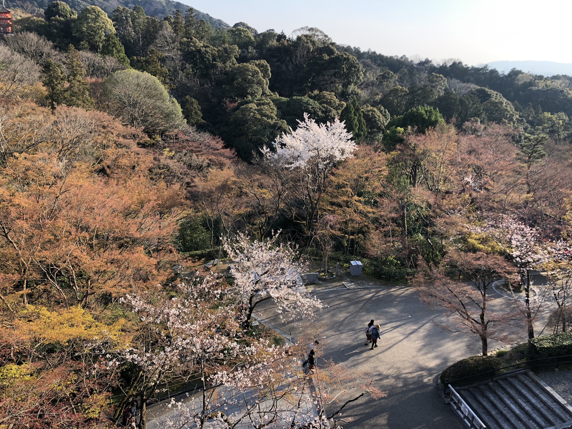 京都自助遊攻略