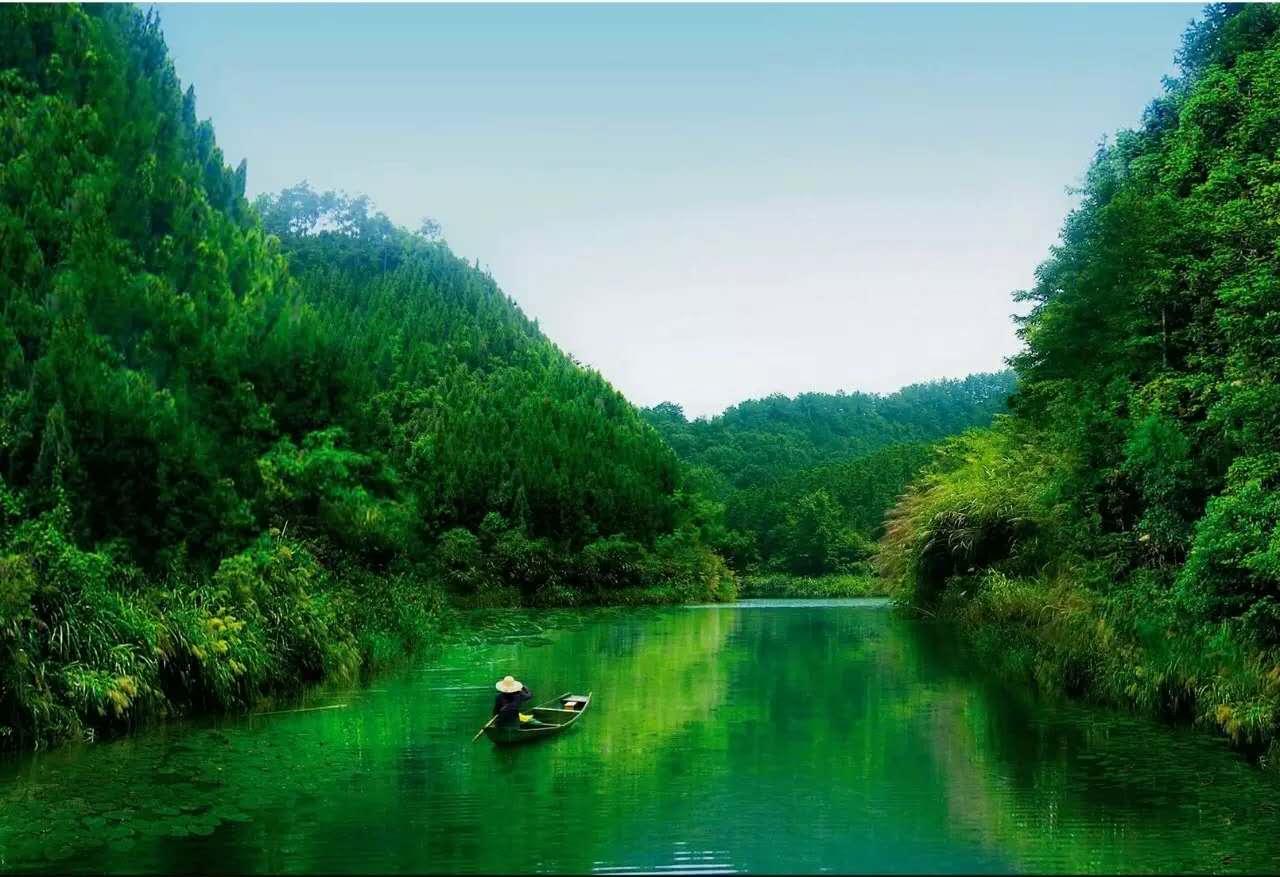 杭州千島湖龍川灣景區門票 國家溼地公園一日電子票