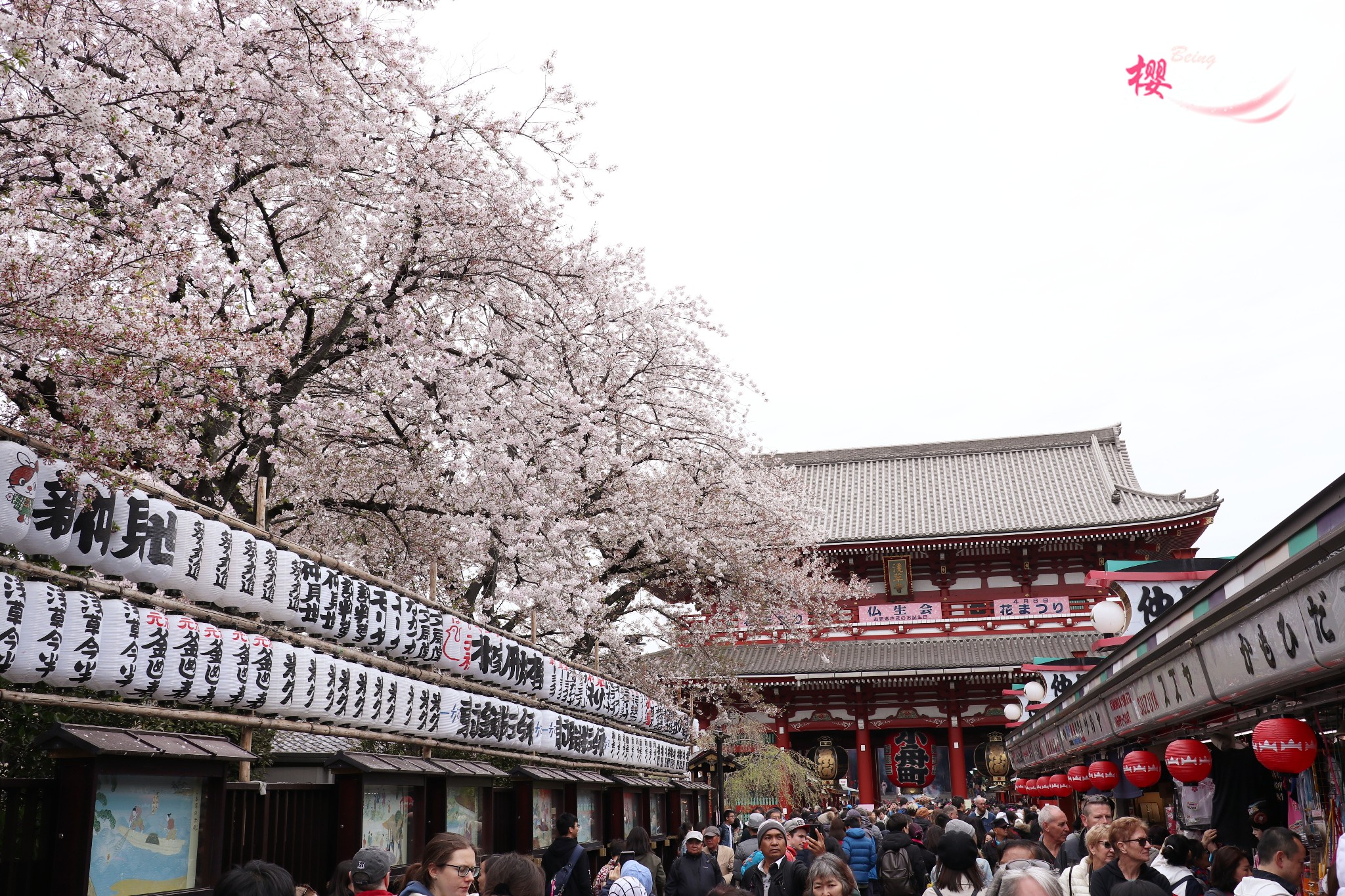 東京自助遊攻略