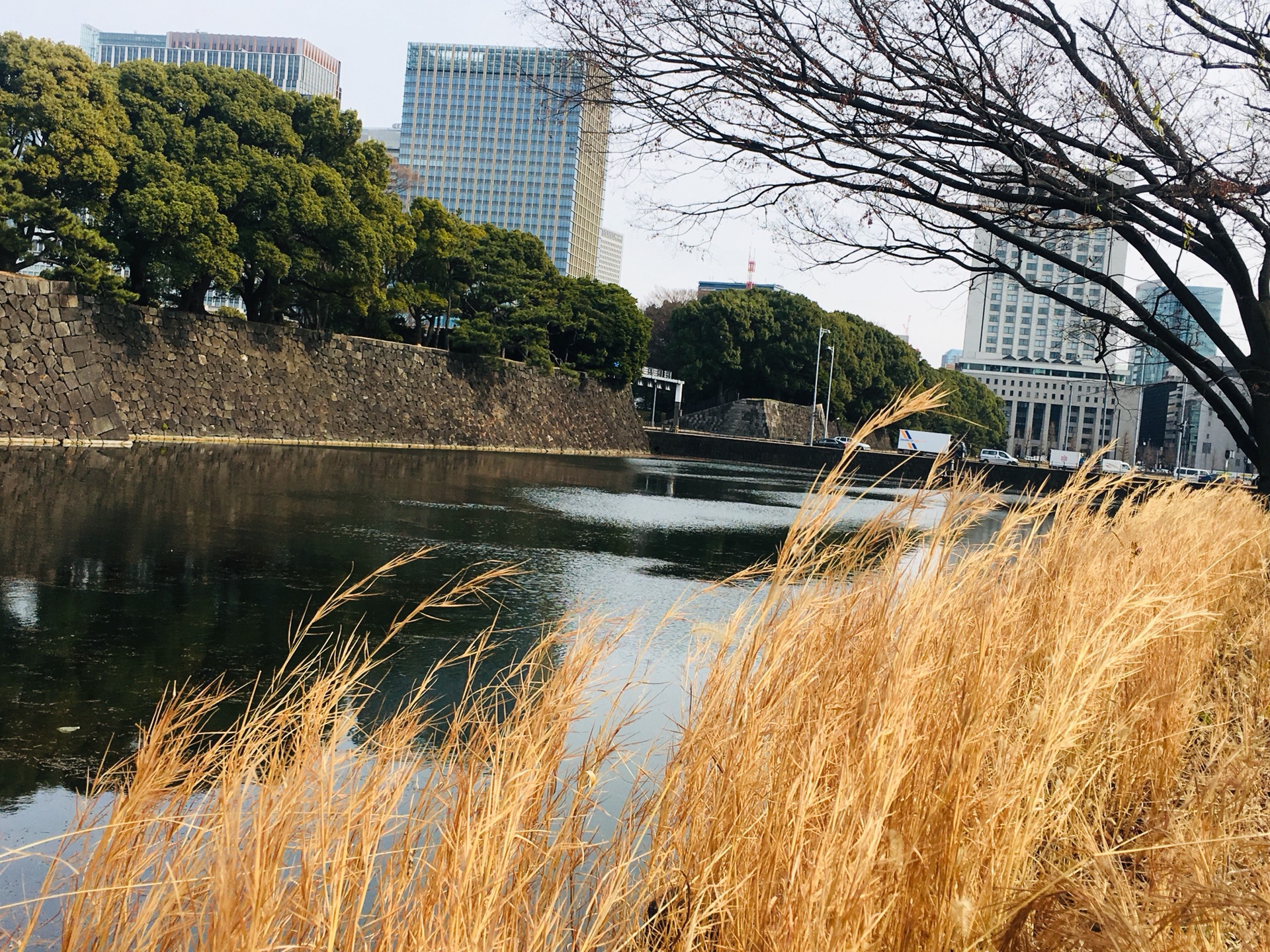 東京自助遊攻略