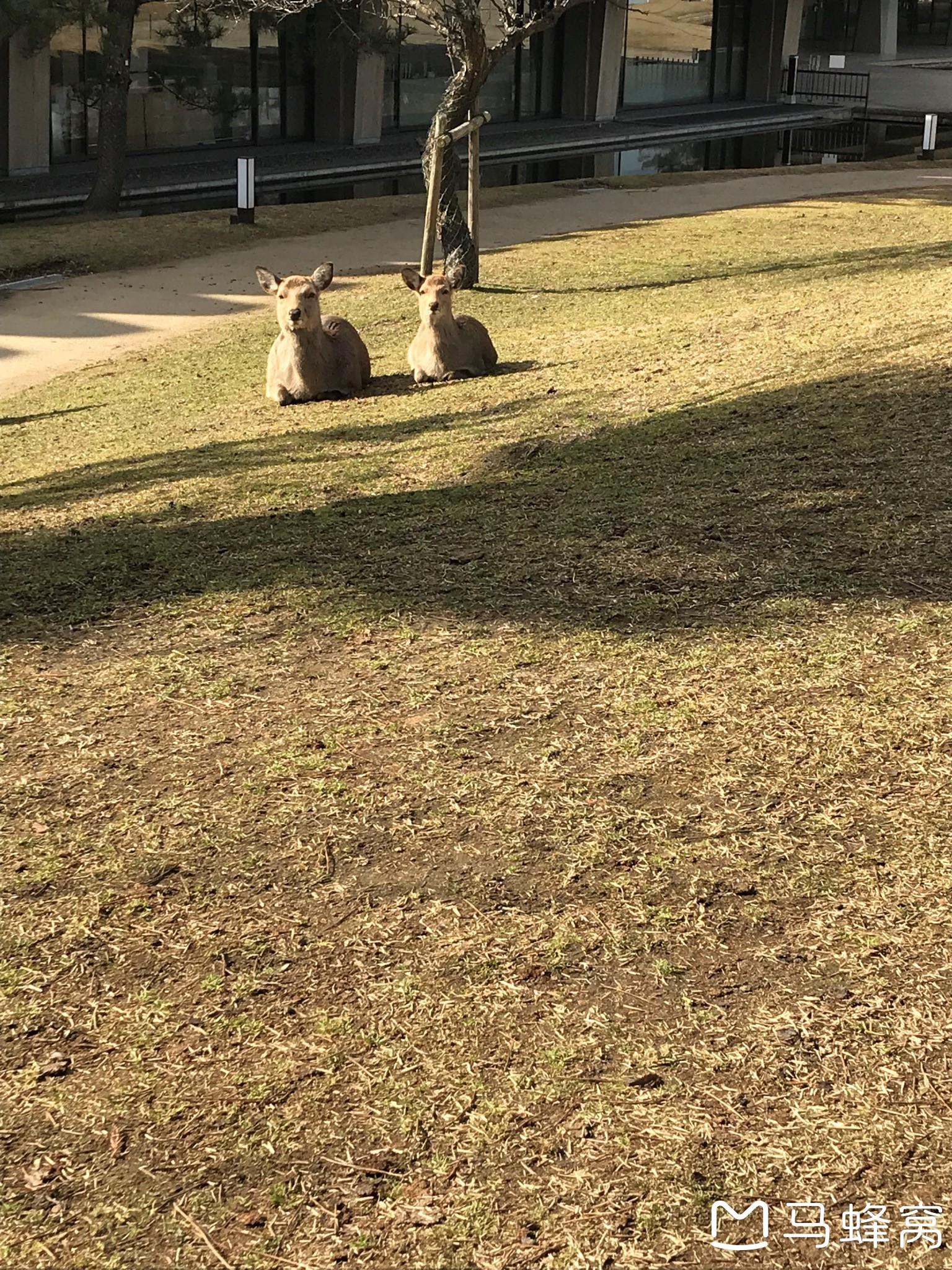 大阪自助遊攻略