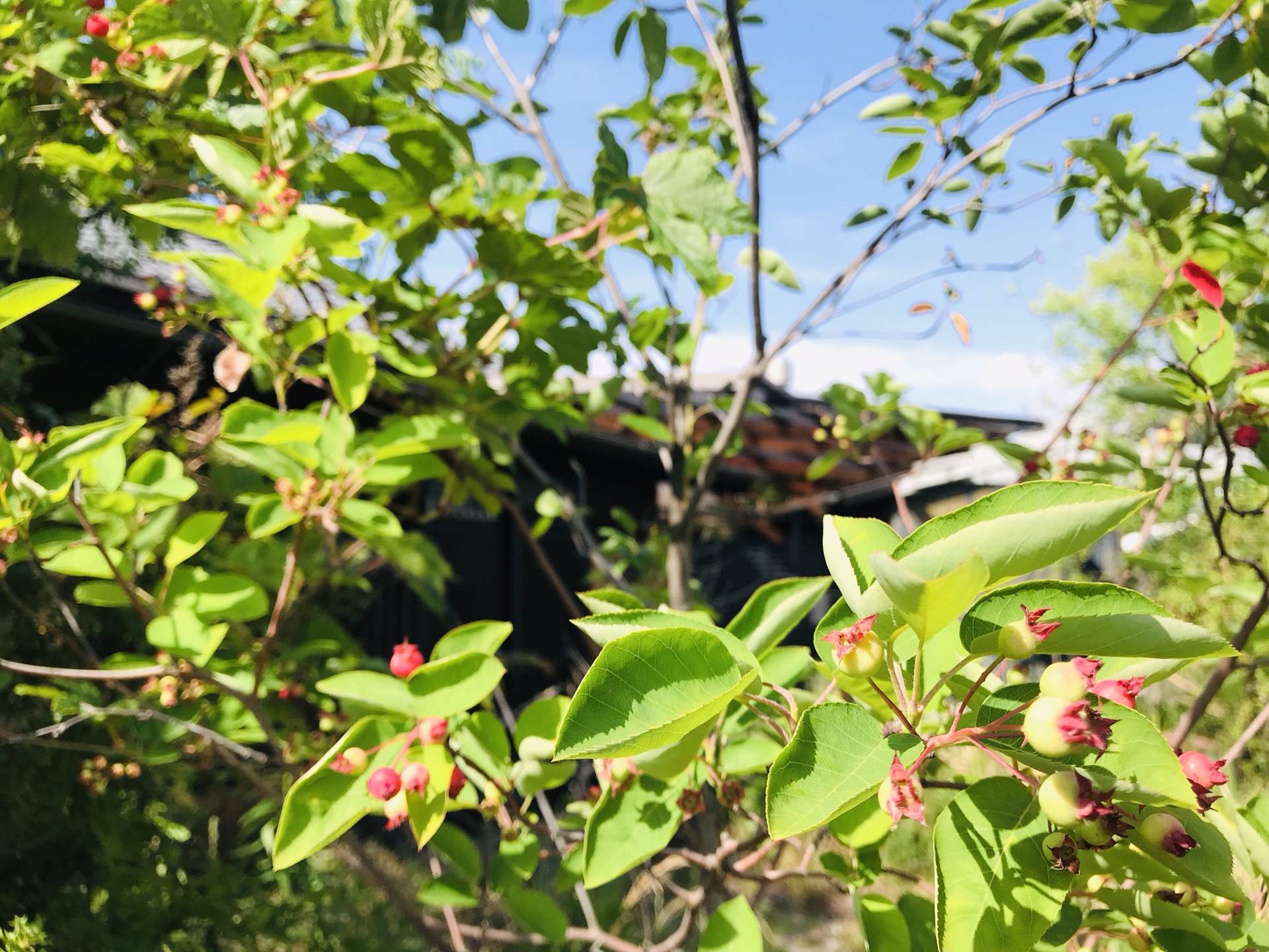 名古屋自助遊攻略