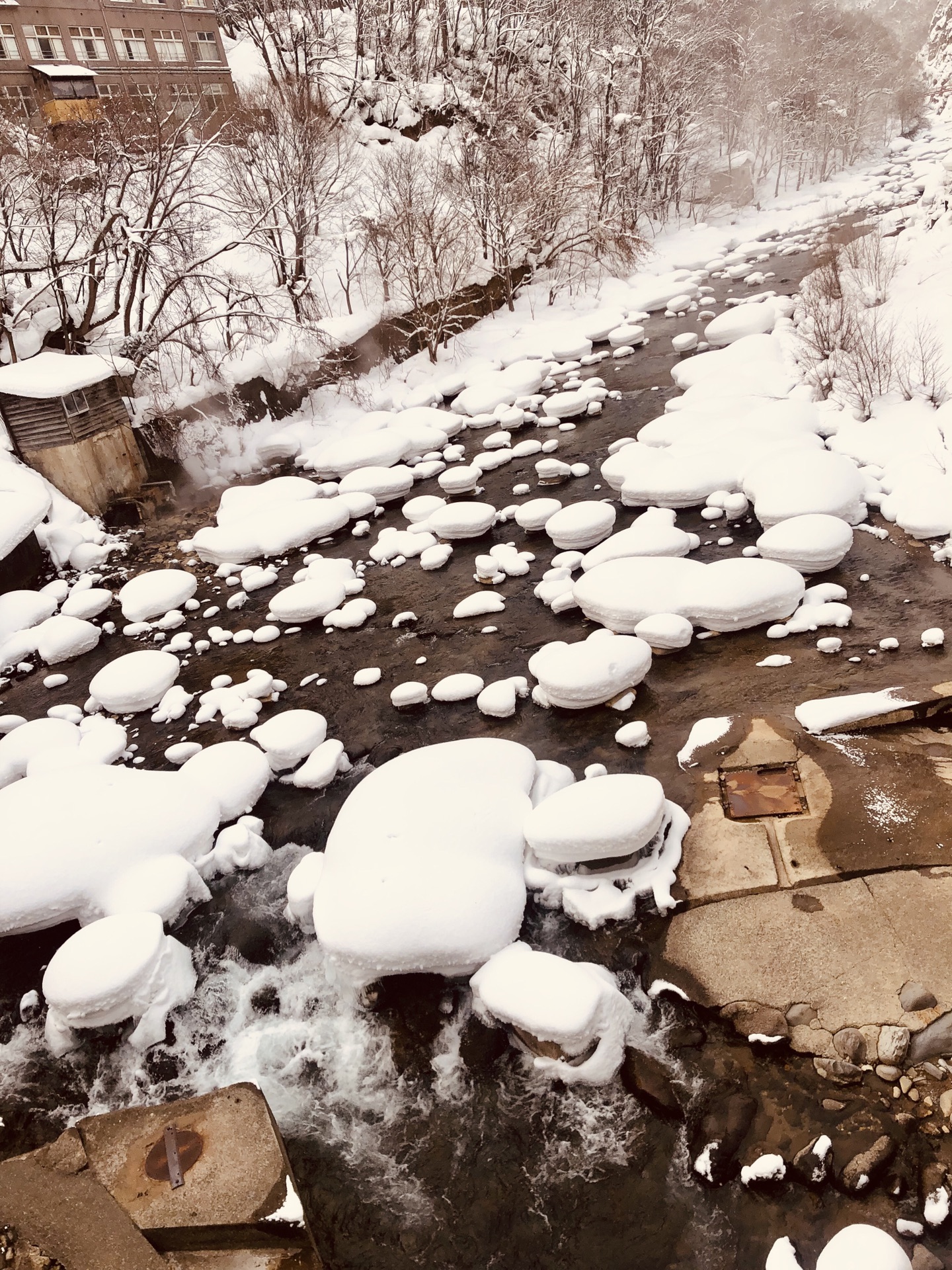 北海道自助遊攻略