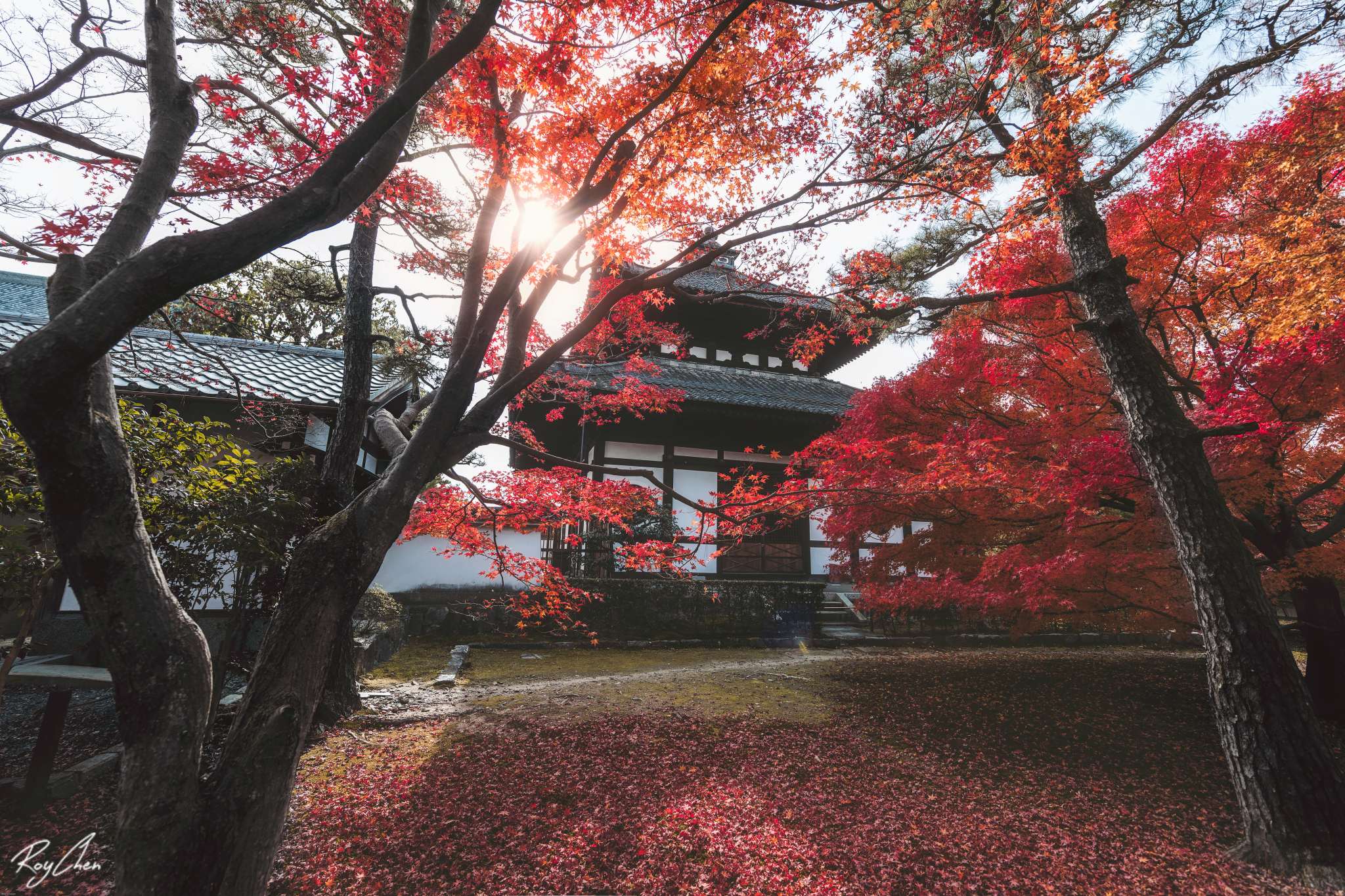 京都自助遊攻略