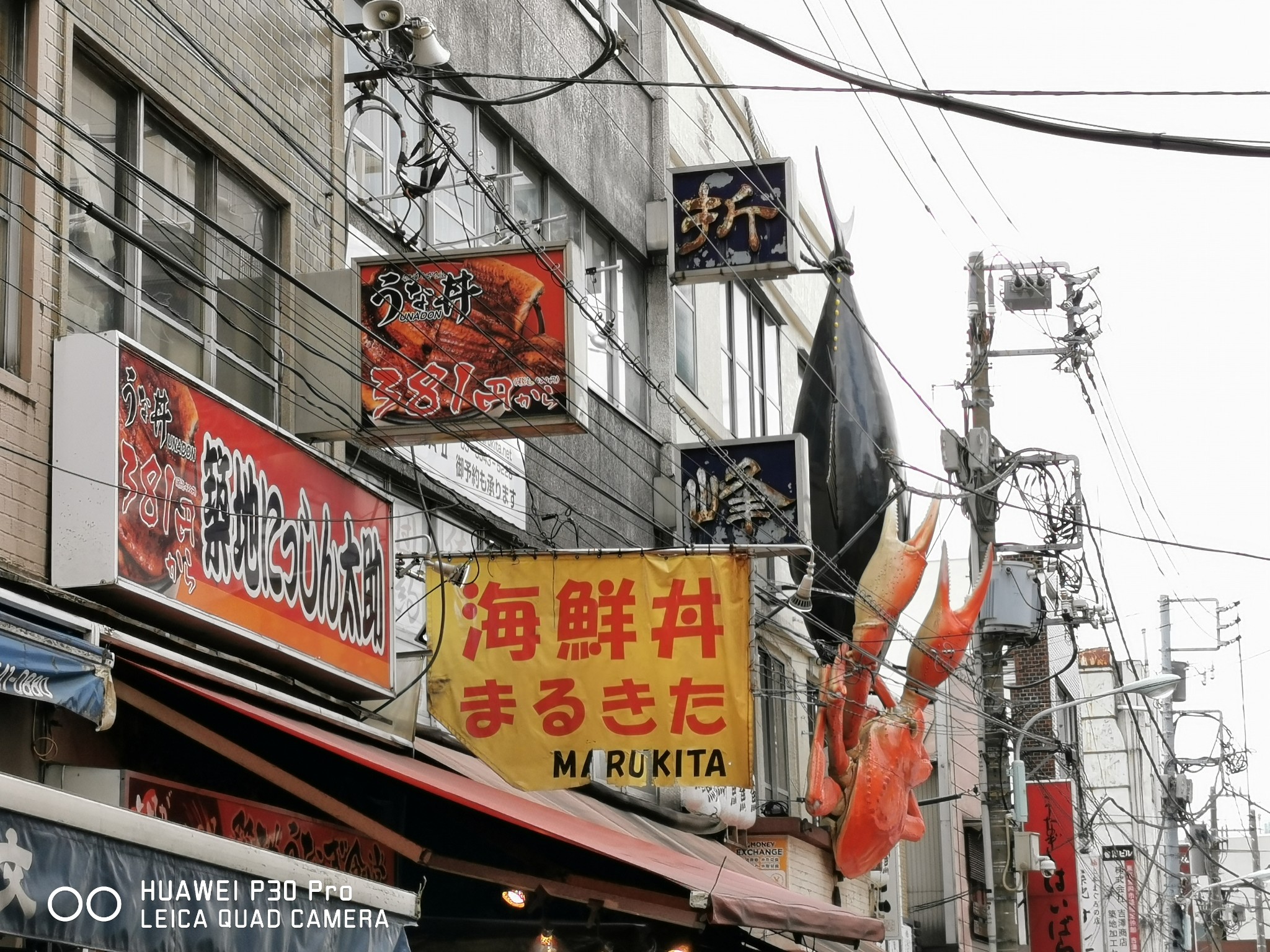 東京自助遊攻略