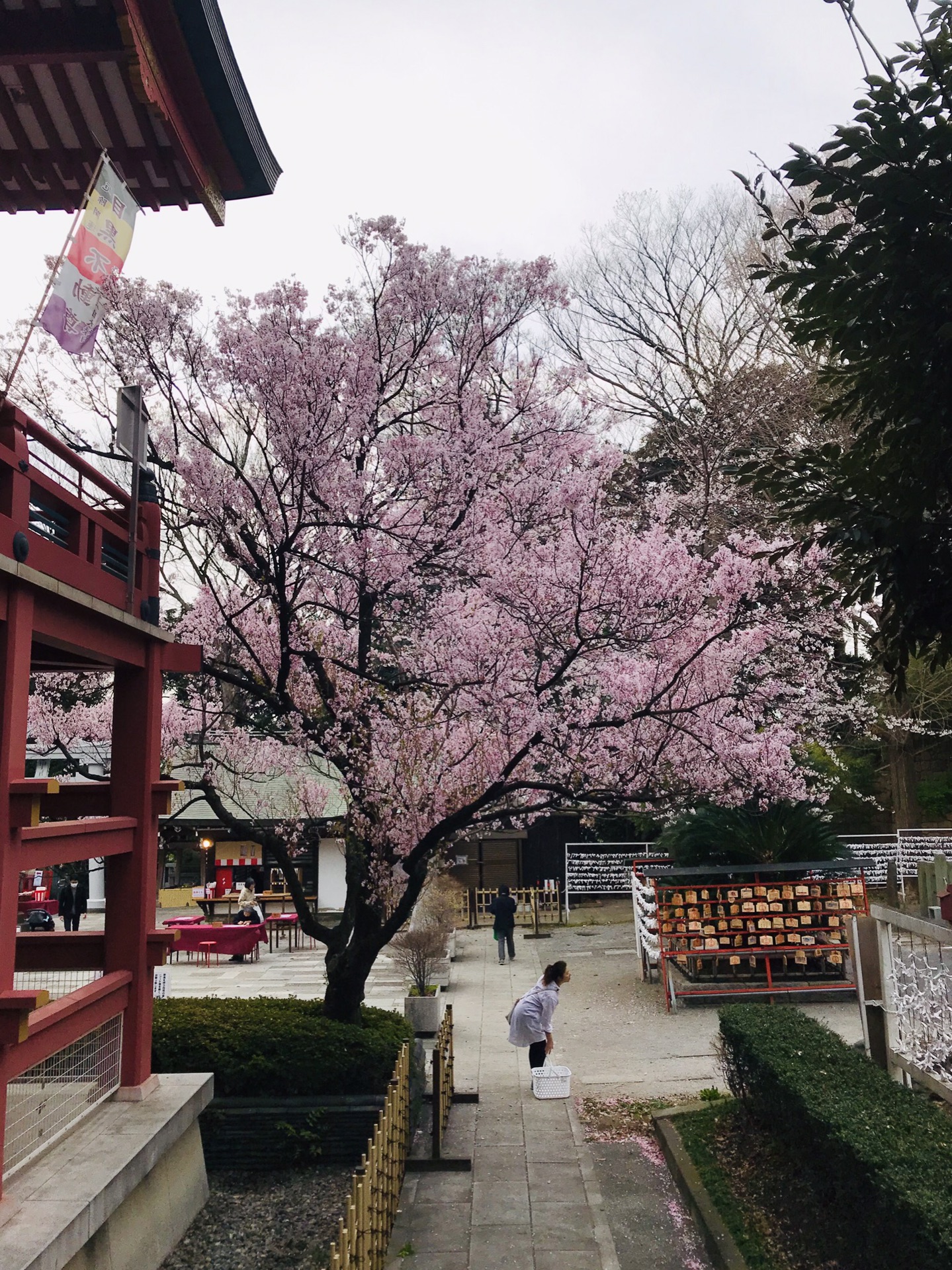 東京自助遊攻略