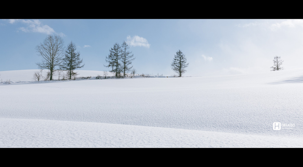 北海道自助遊攻略