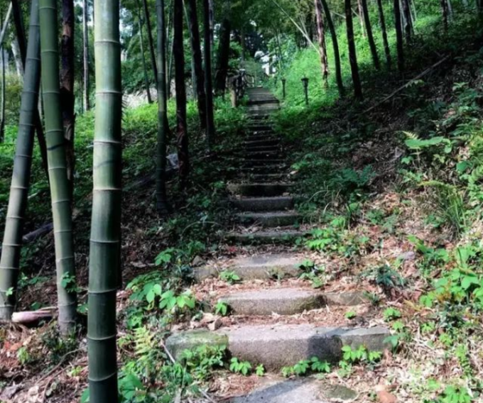 莫干山游玩骑马攻略,莫干山游玩攻略