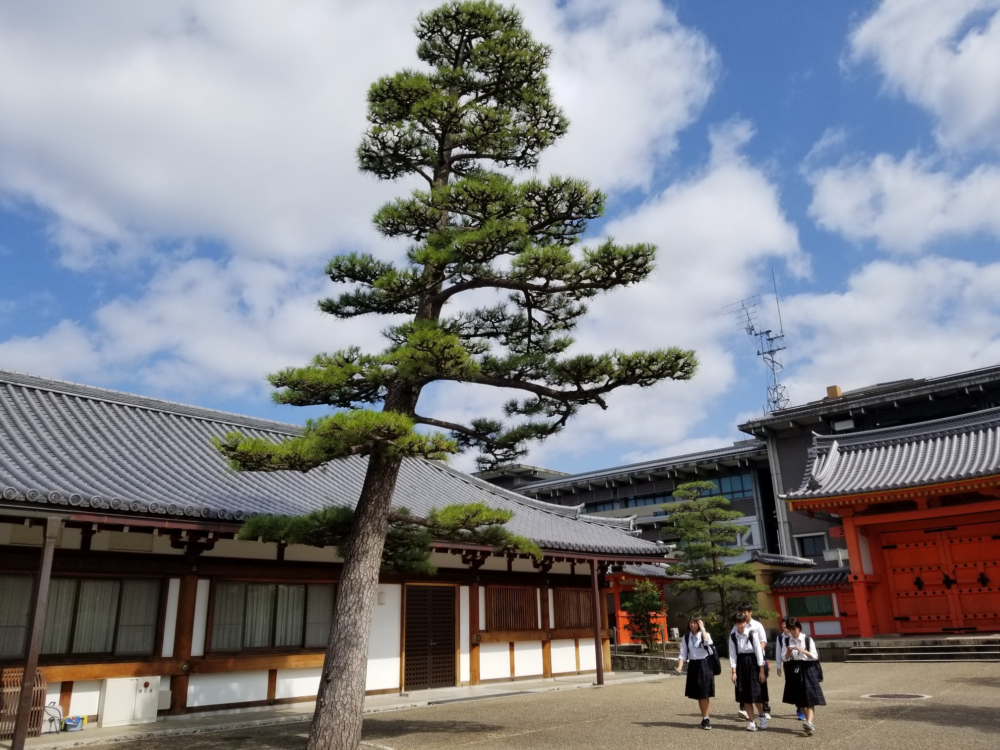 京都自助遊攻略