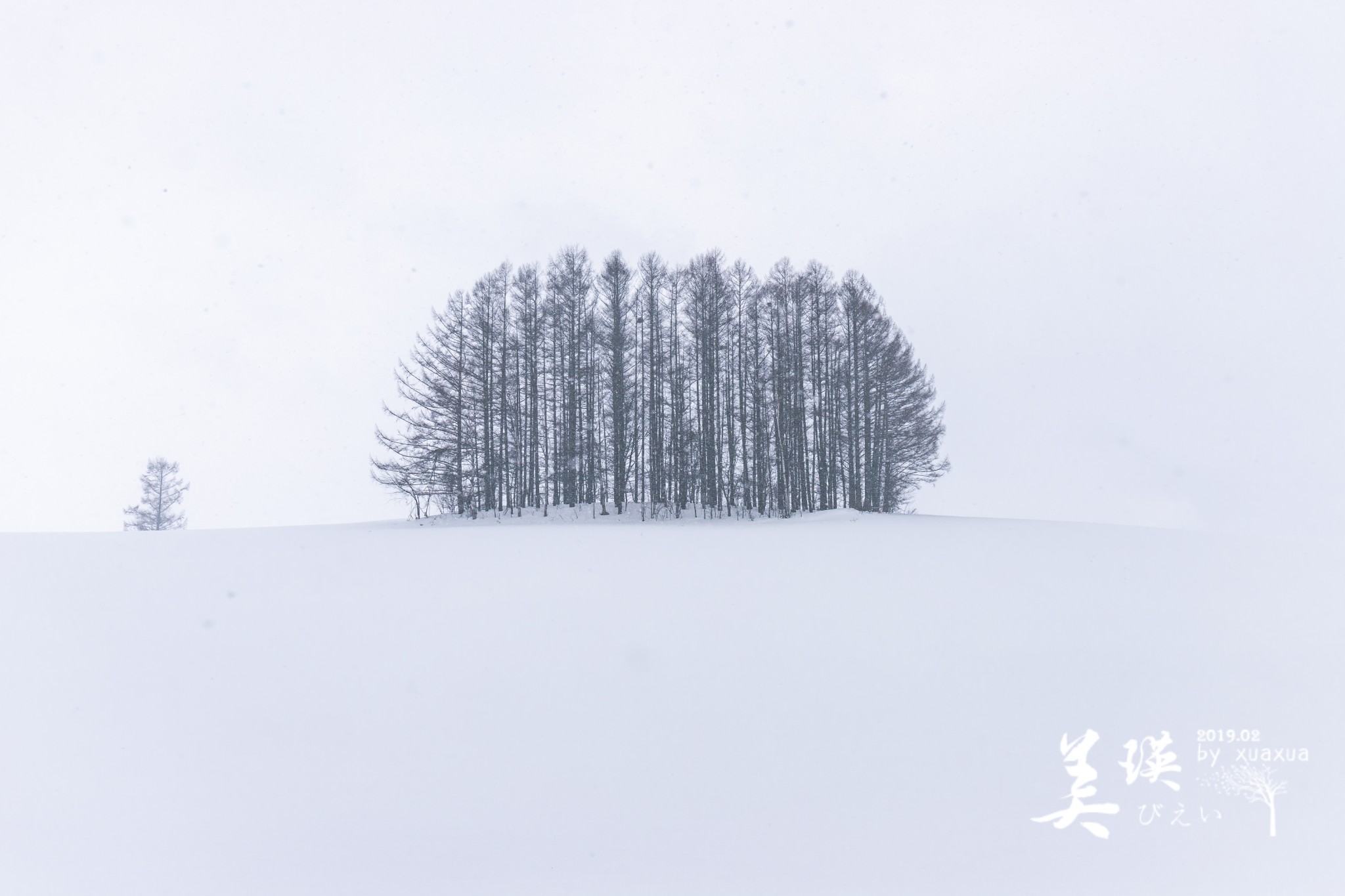 北海道自助遊攻略