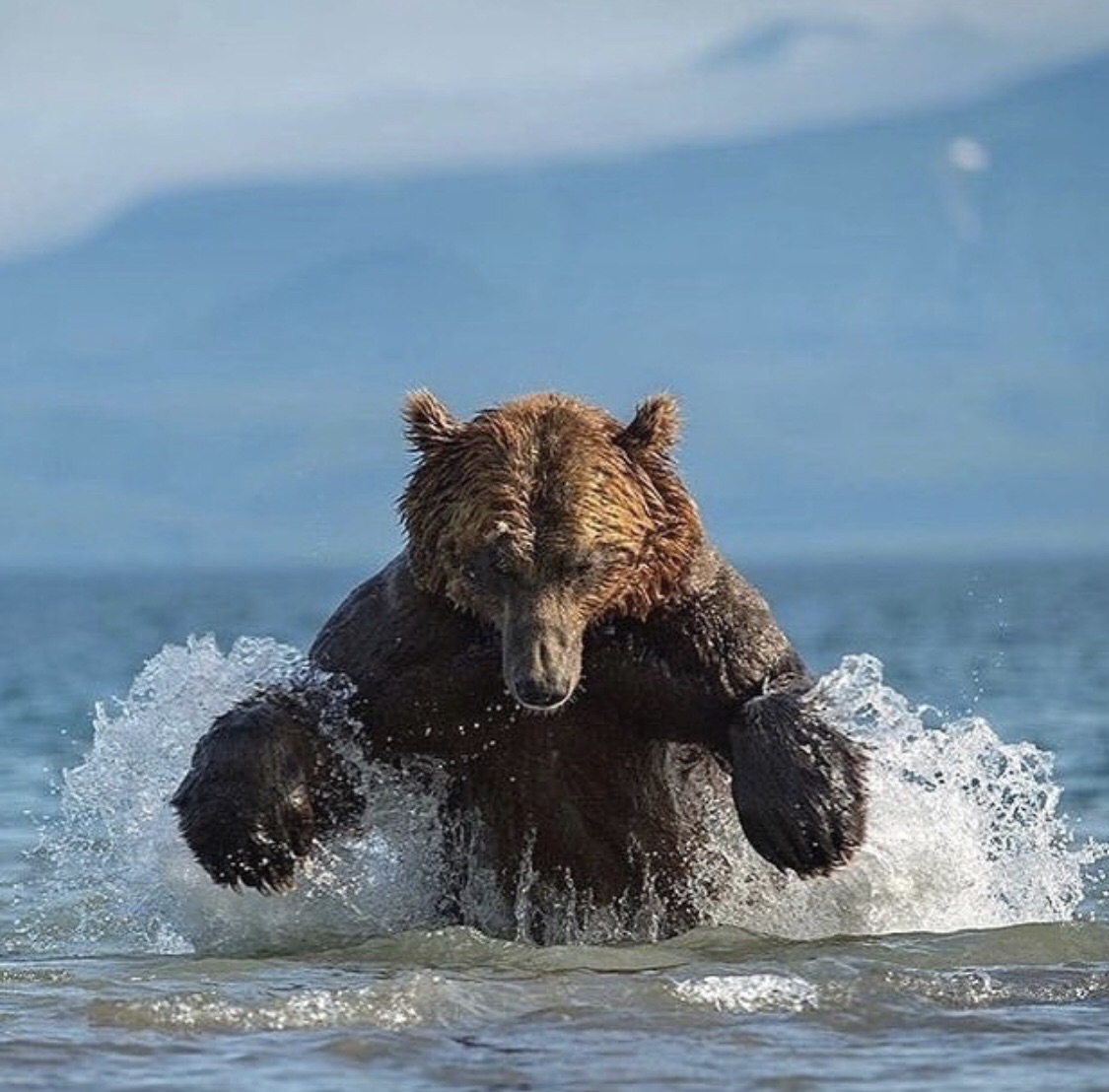 wKgEaVyZlCyAbT_1AAPDgQj3pUo40.jpeg?imageView2%2F2%2Fw%2F680%2Fq%2F90%7CimageMogr2%2Fstrip%2Fquality%2F90