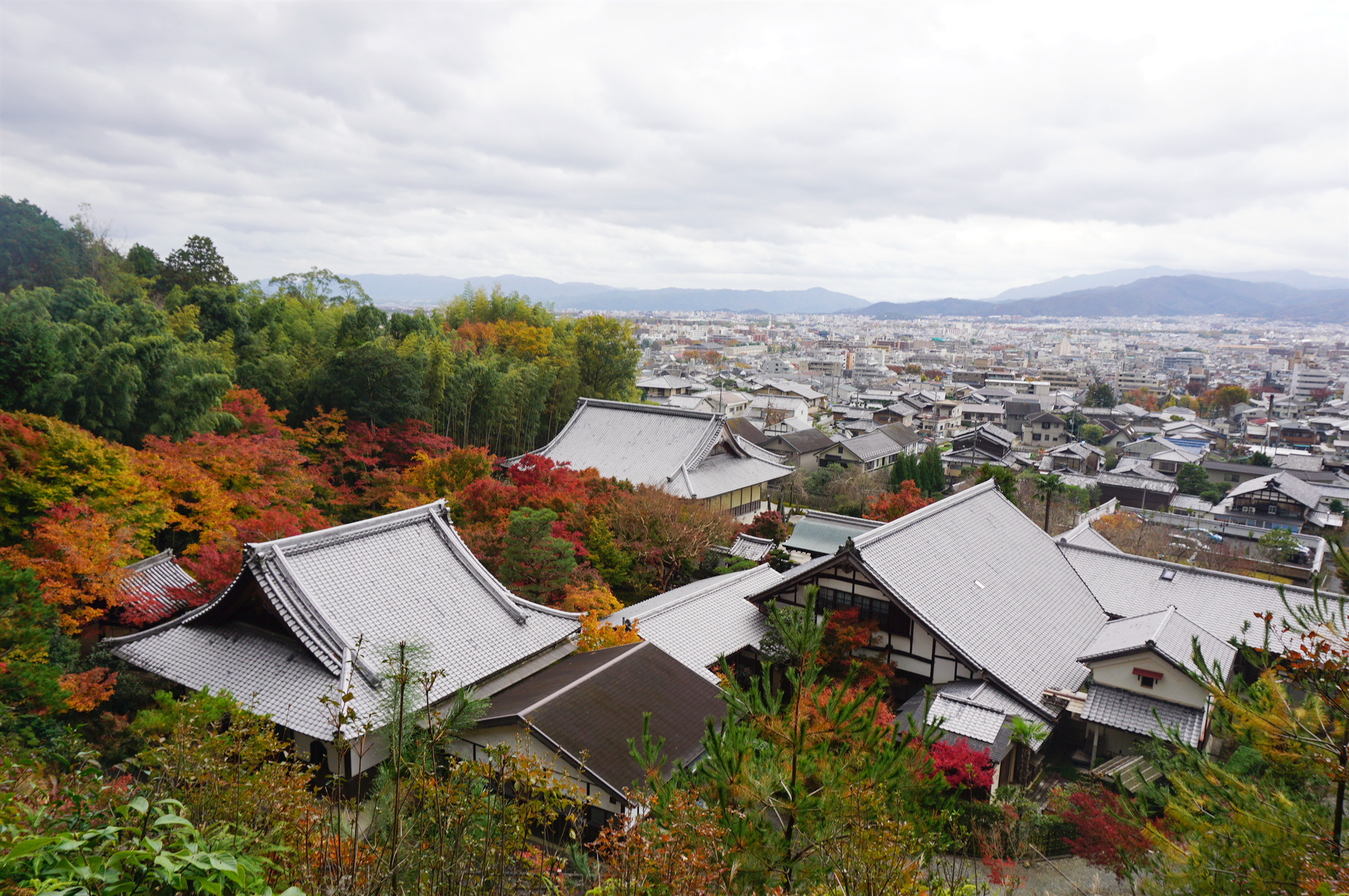 京都自助遊攻略