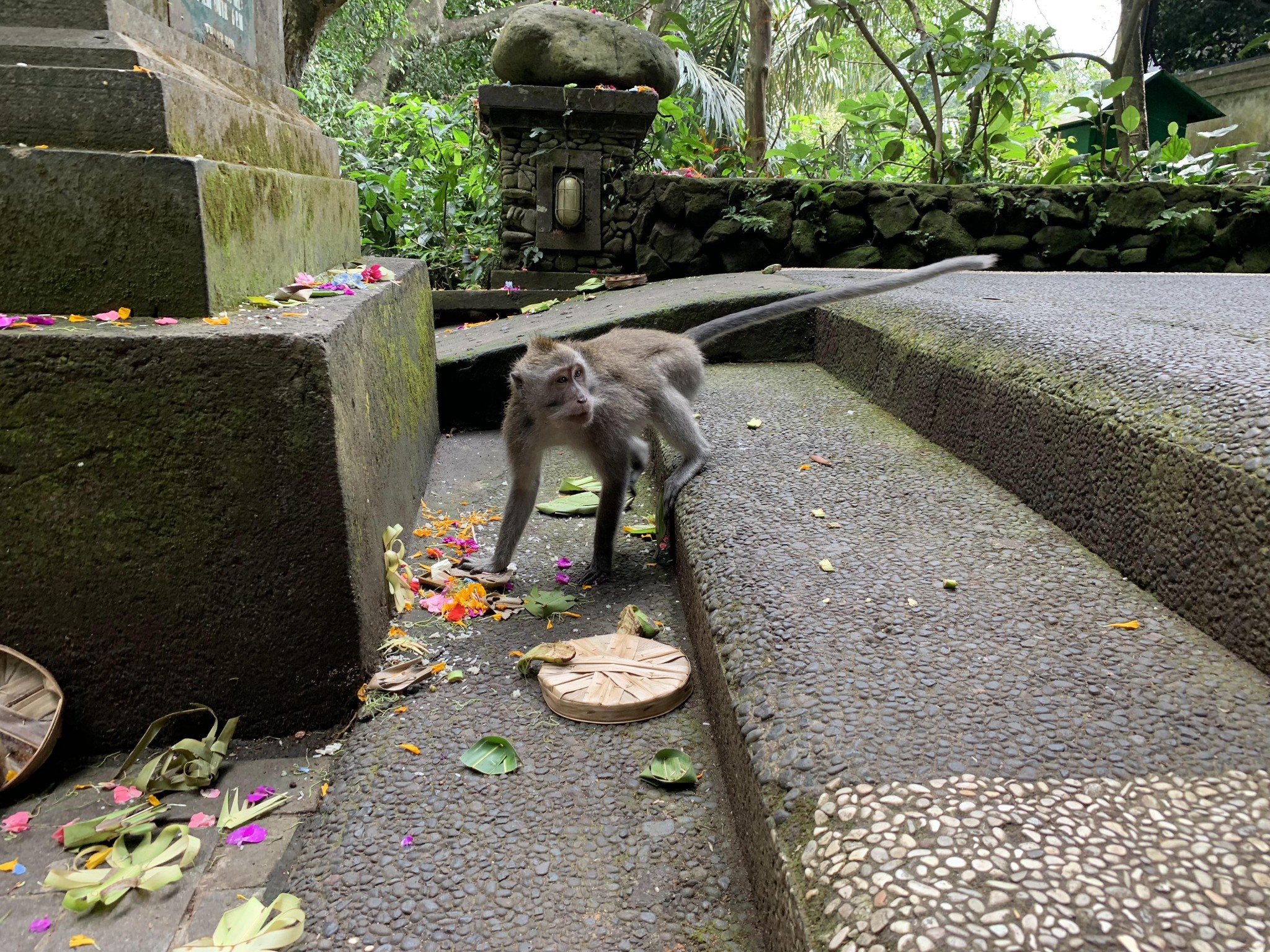 巴釐島自助遊攻略