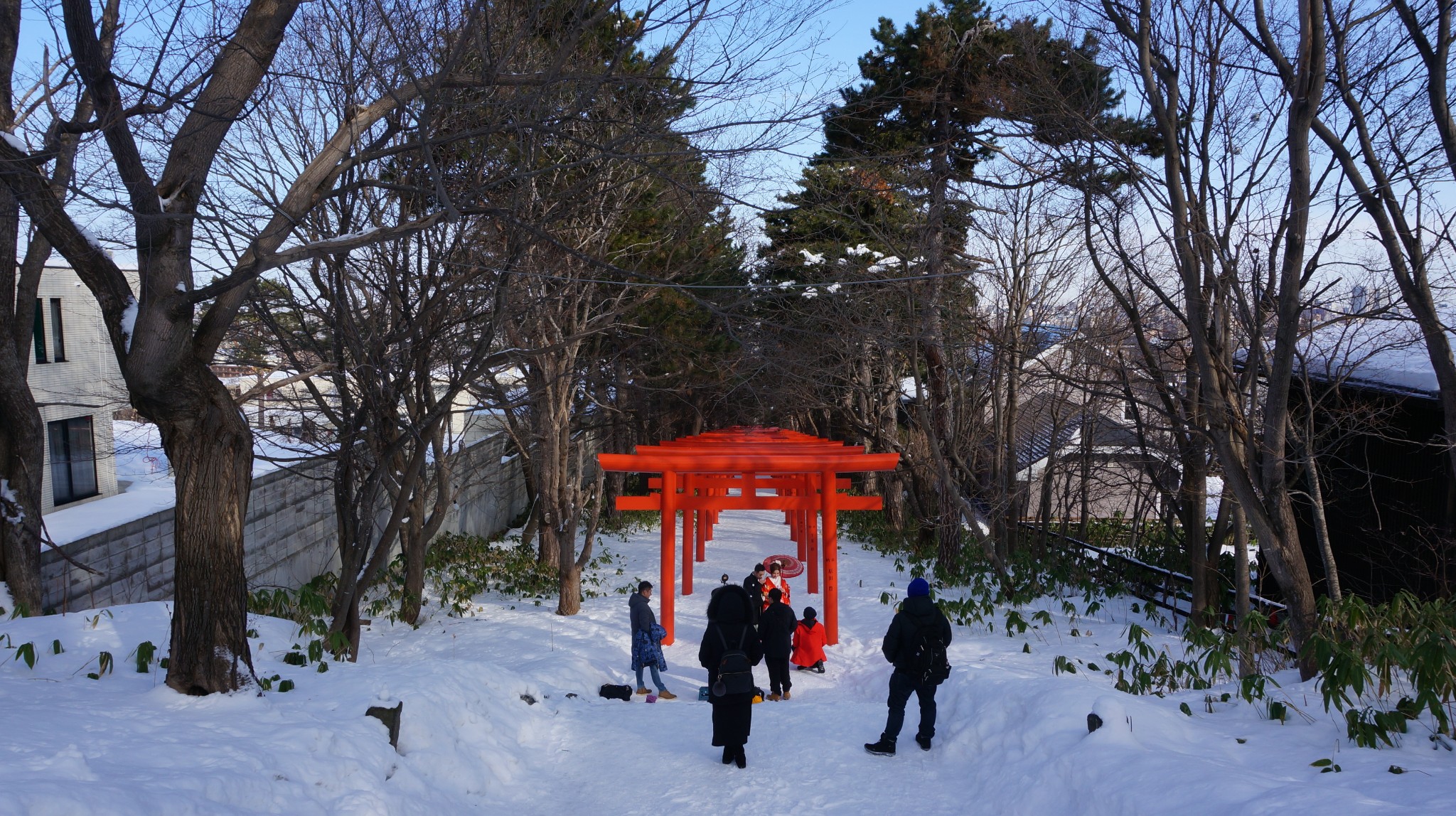 北海道自助遊攻略