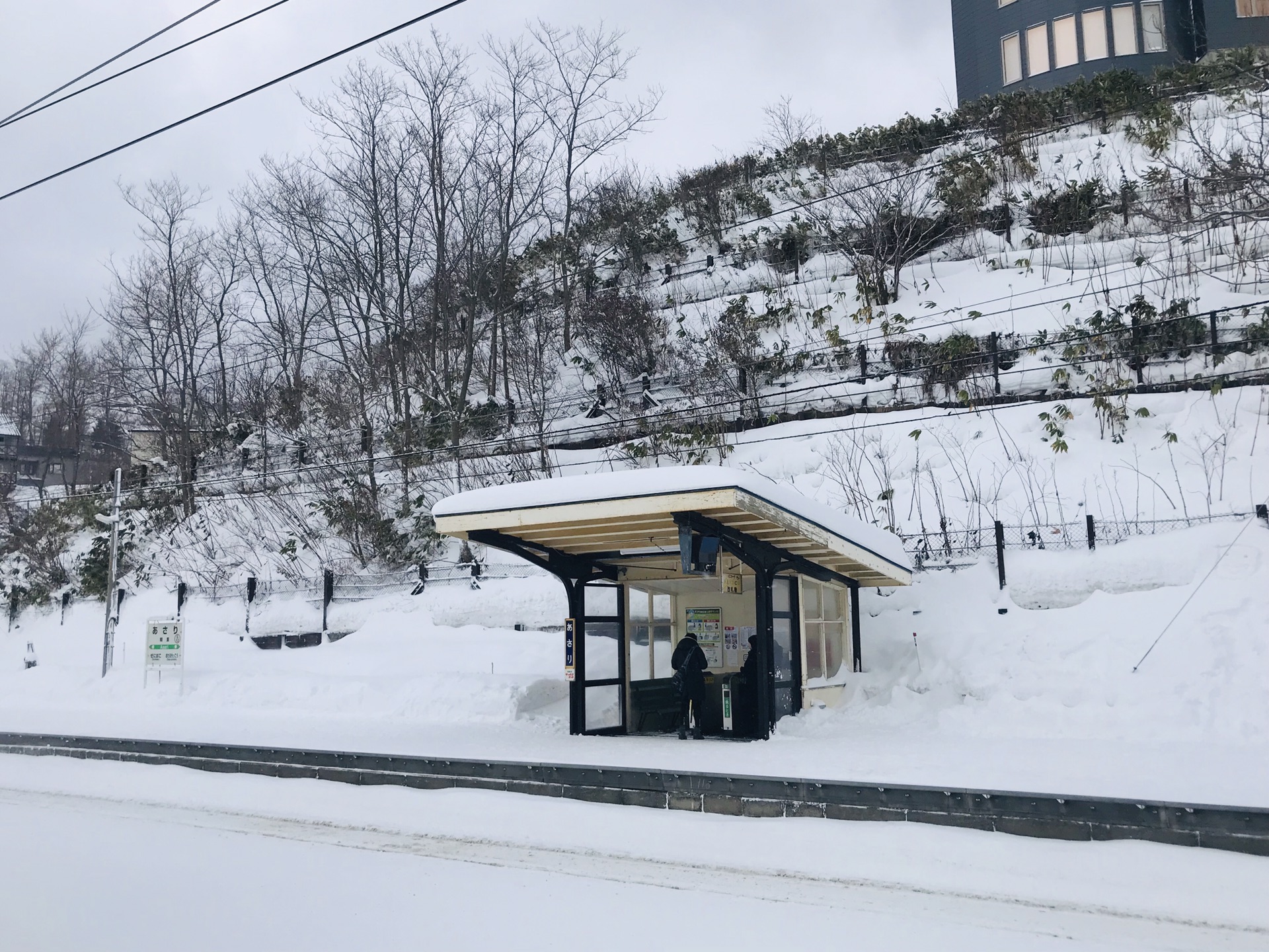 北海道自助遊攻略