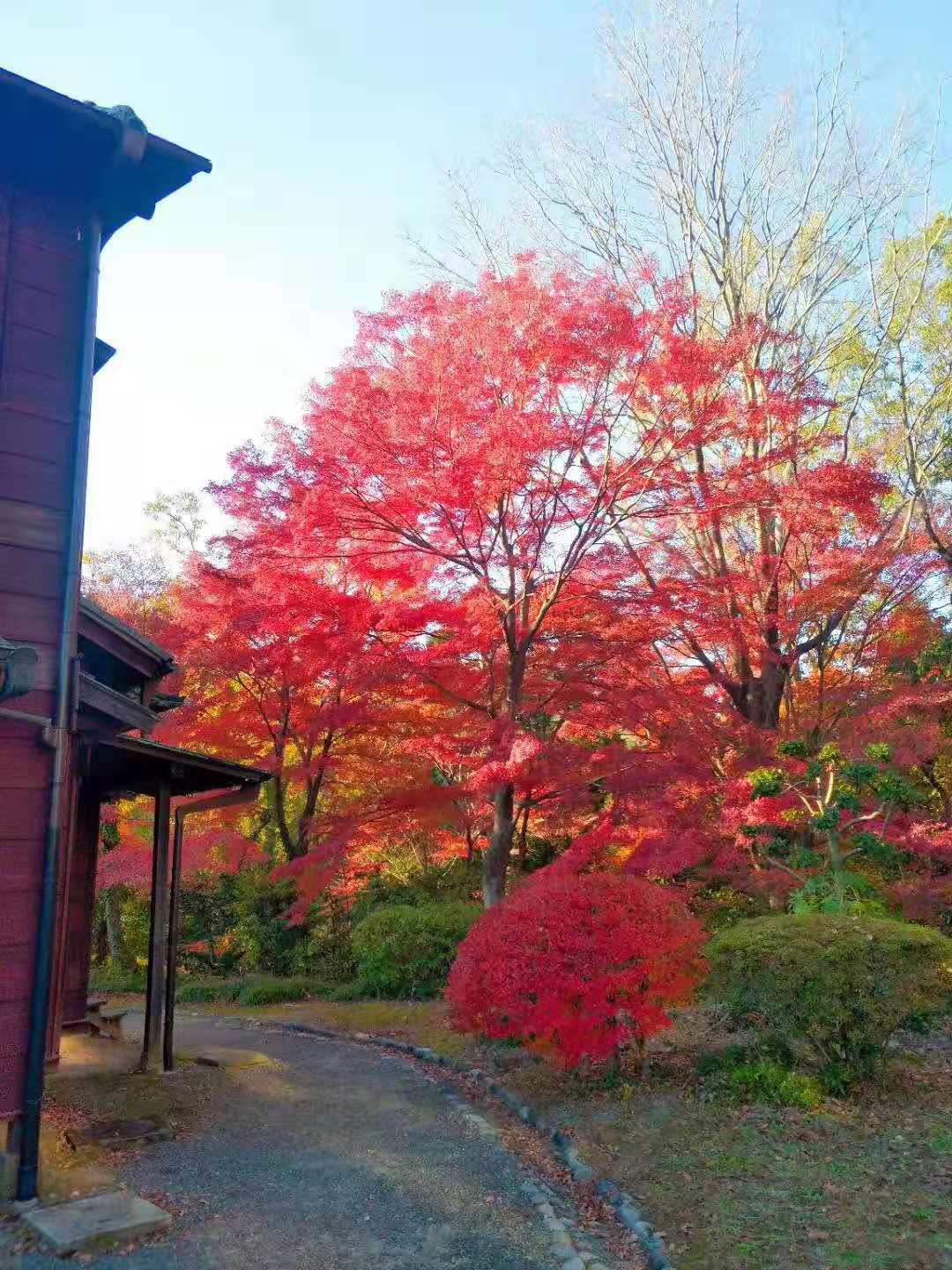 名古屋自助遊攻略