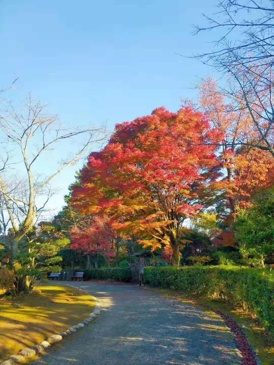 名古屋自助遊攻略