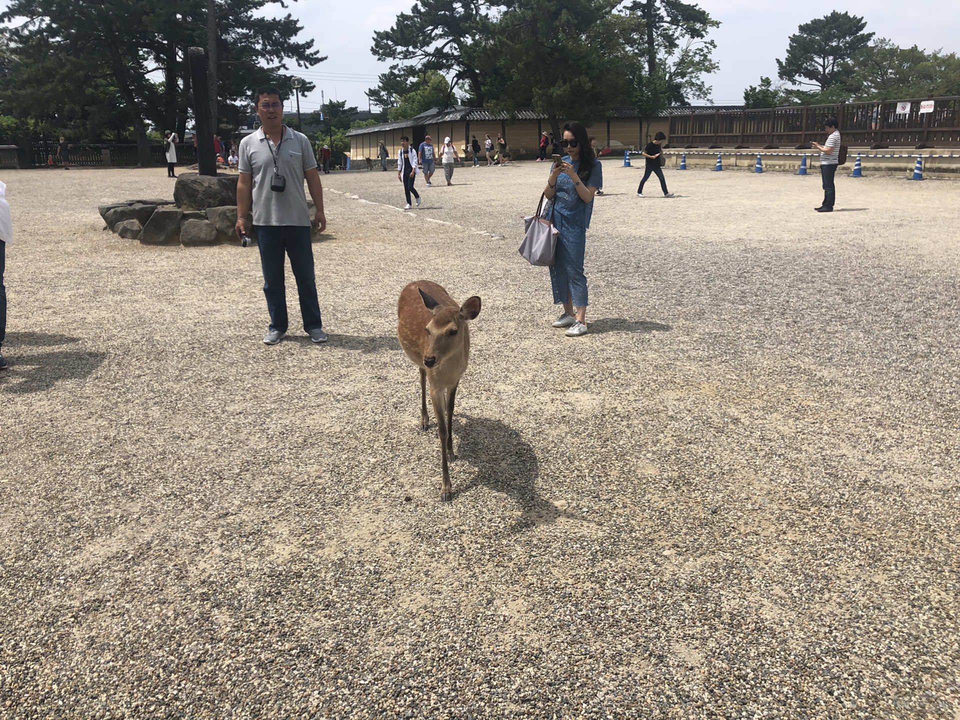 大阪自助遊攻略