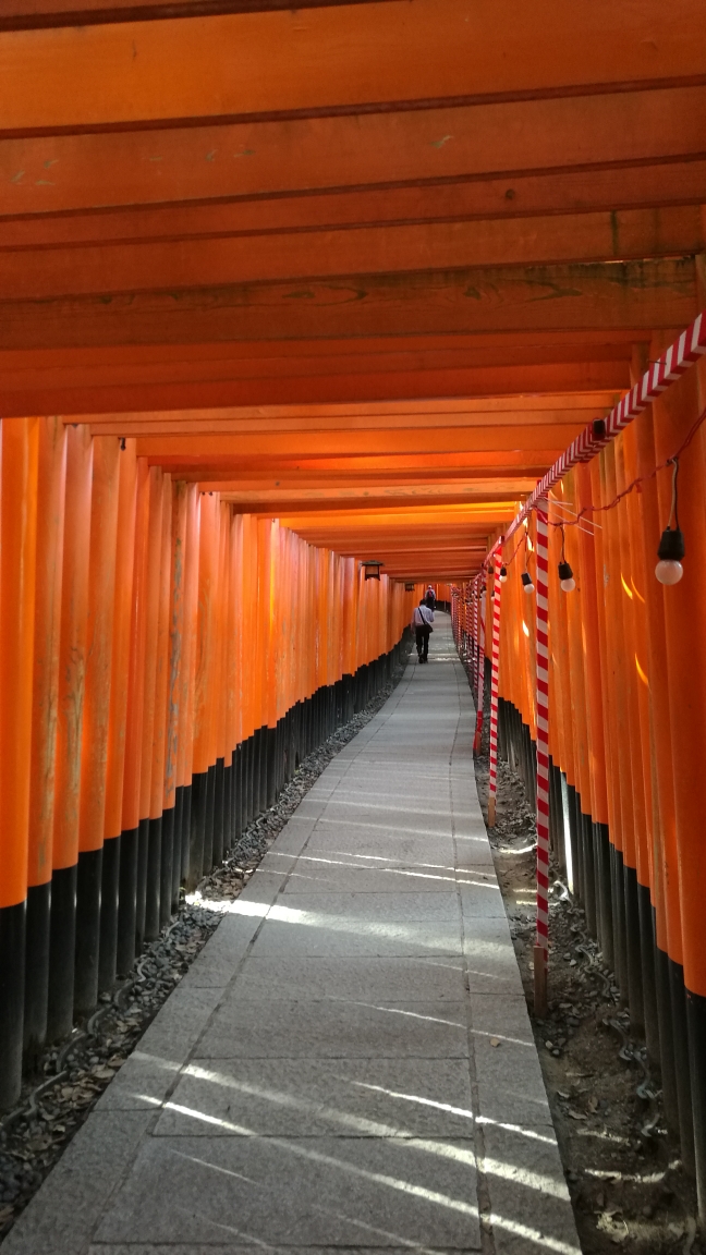 京都自助遊攻略