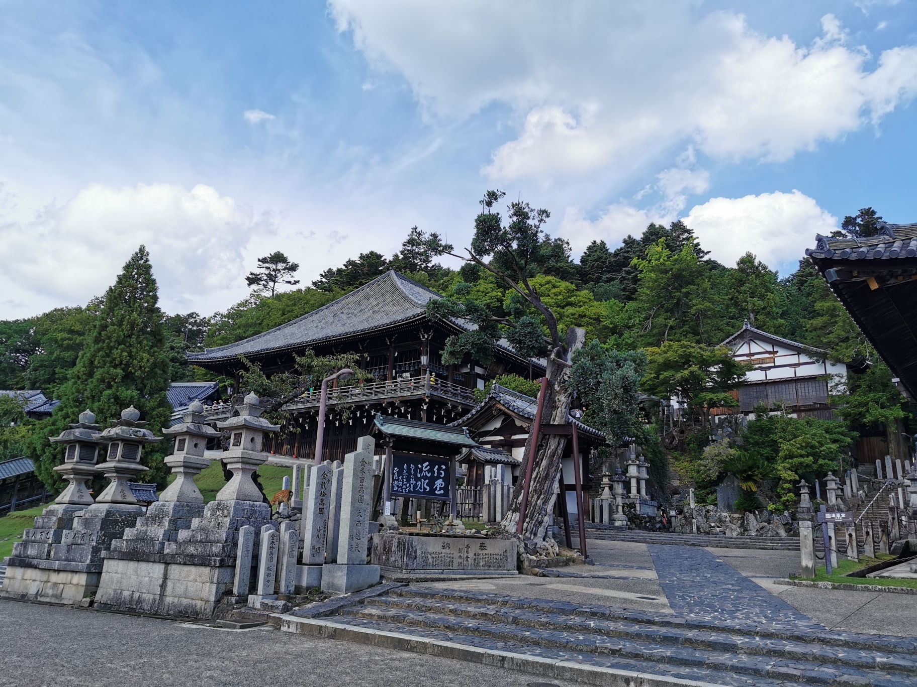 京都自助遊攻略